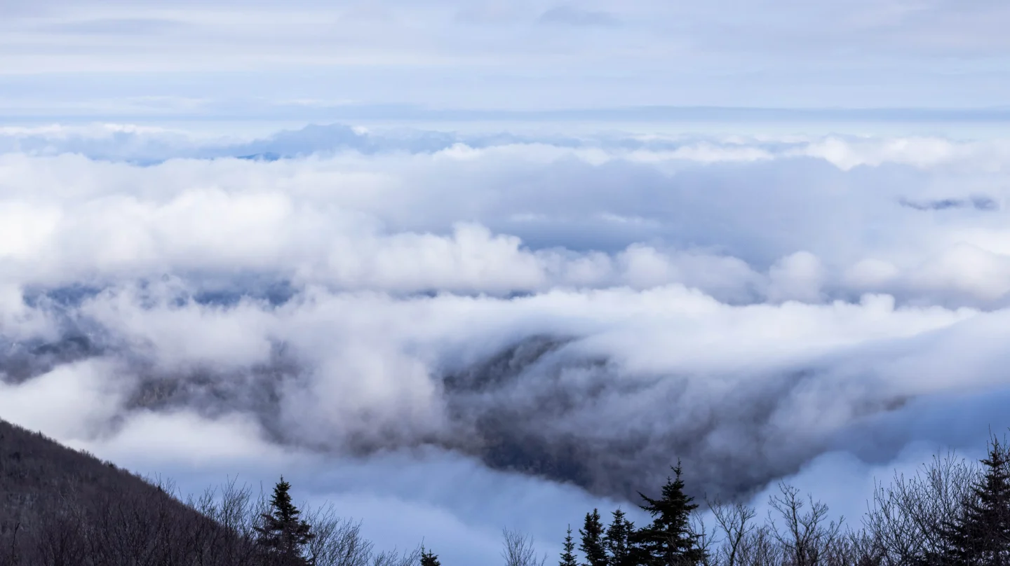 winter foggy view from top of mount greylock in massachusetts