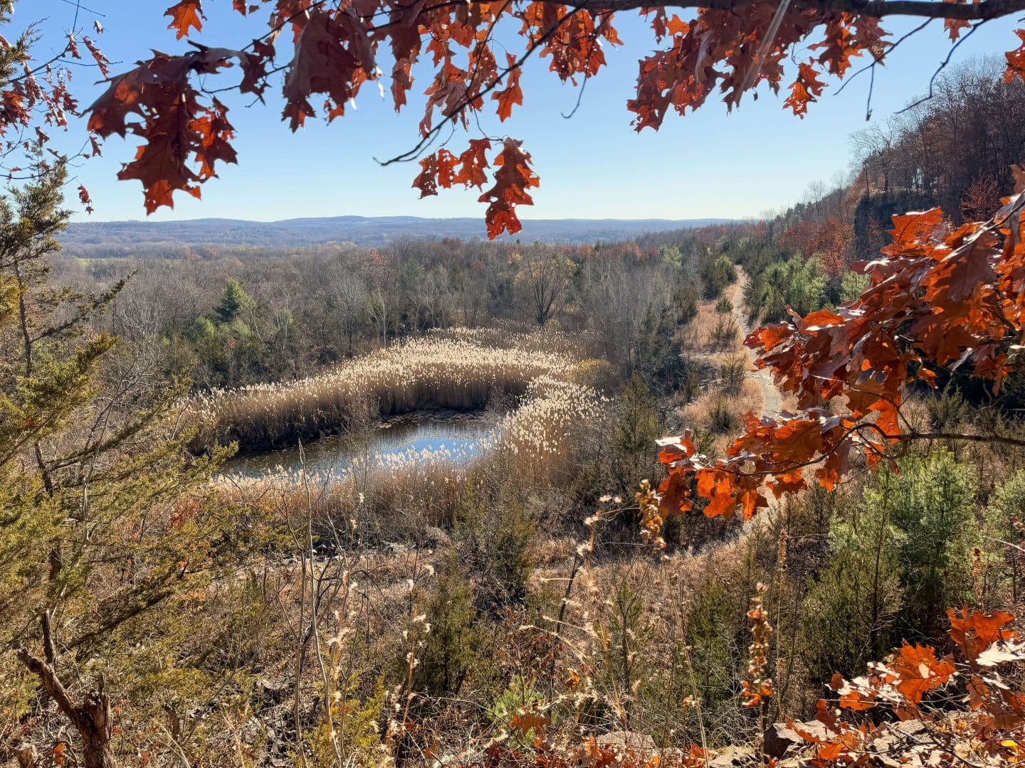 view from rocky hill quarry hike in connecticut with a bench on top