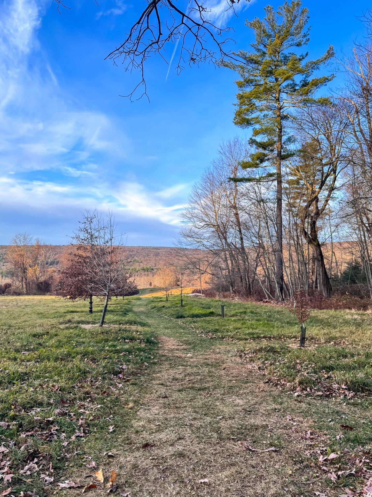 trail at holcomb farm in granby connecticut