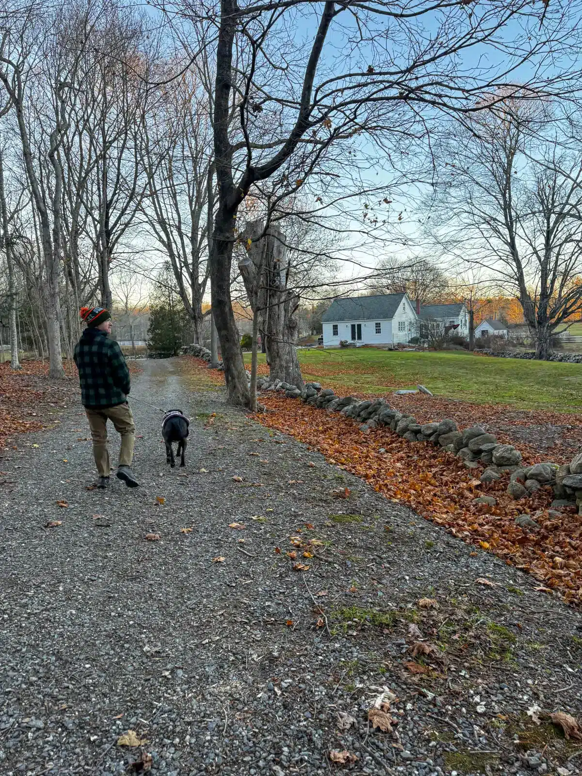 man in snow hat walking brown dog on a leash on a farm trail along a stone wall in connecticut.