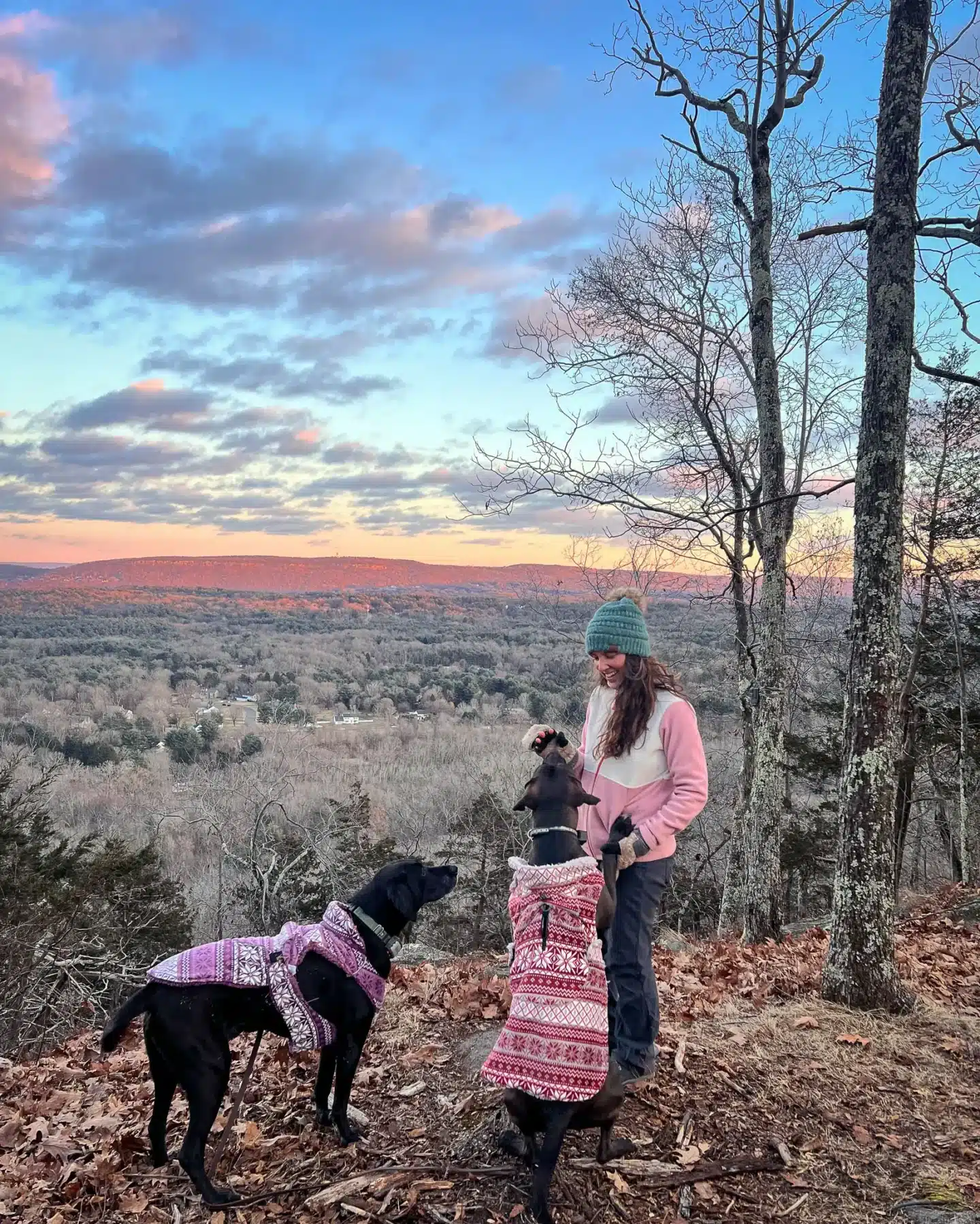 woman in pink fleece with two big black dogs in pink and purple sweaters on sunset hike in canton connecticut with pink skies