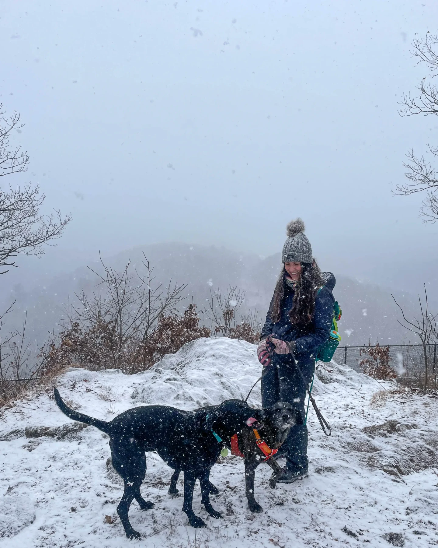 woman and two dogs hiking at steep rock preserve in washington depot ct