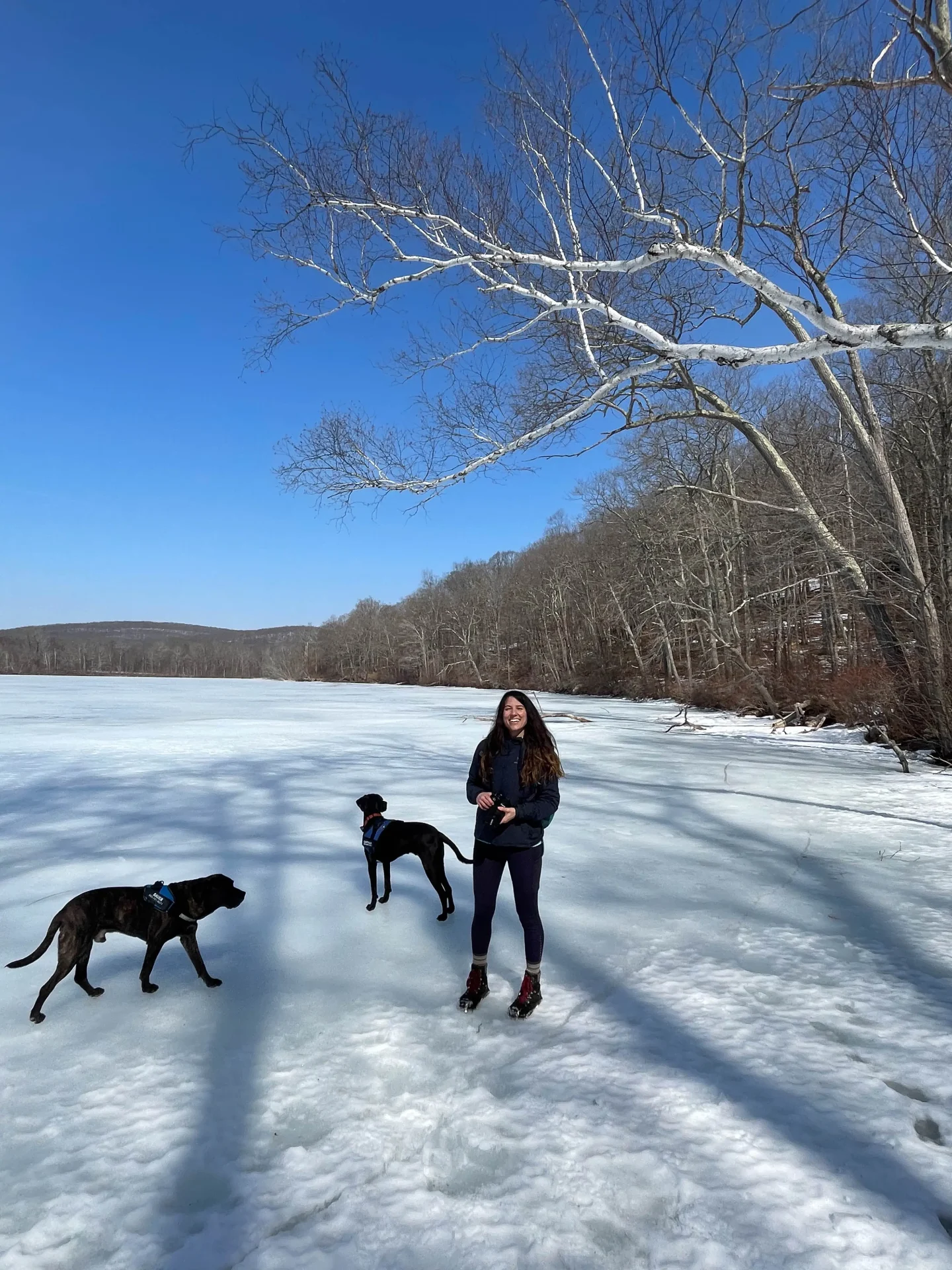 2 black dogs and woman standing on frozen pond on fuller pond in connecticut