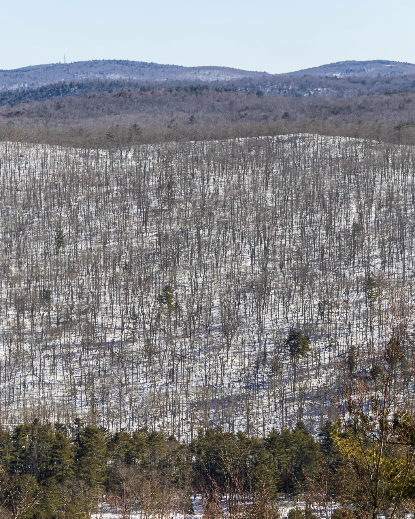 winter hiking view from pine knob loop in cornwall ct