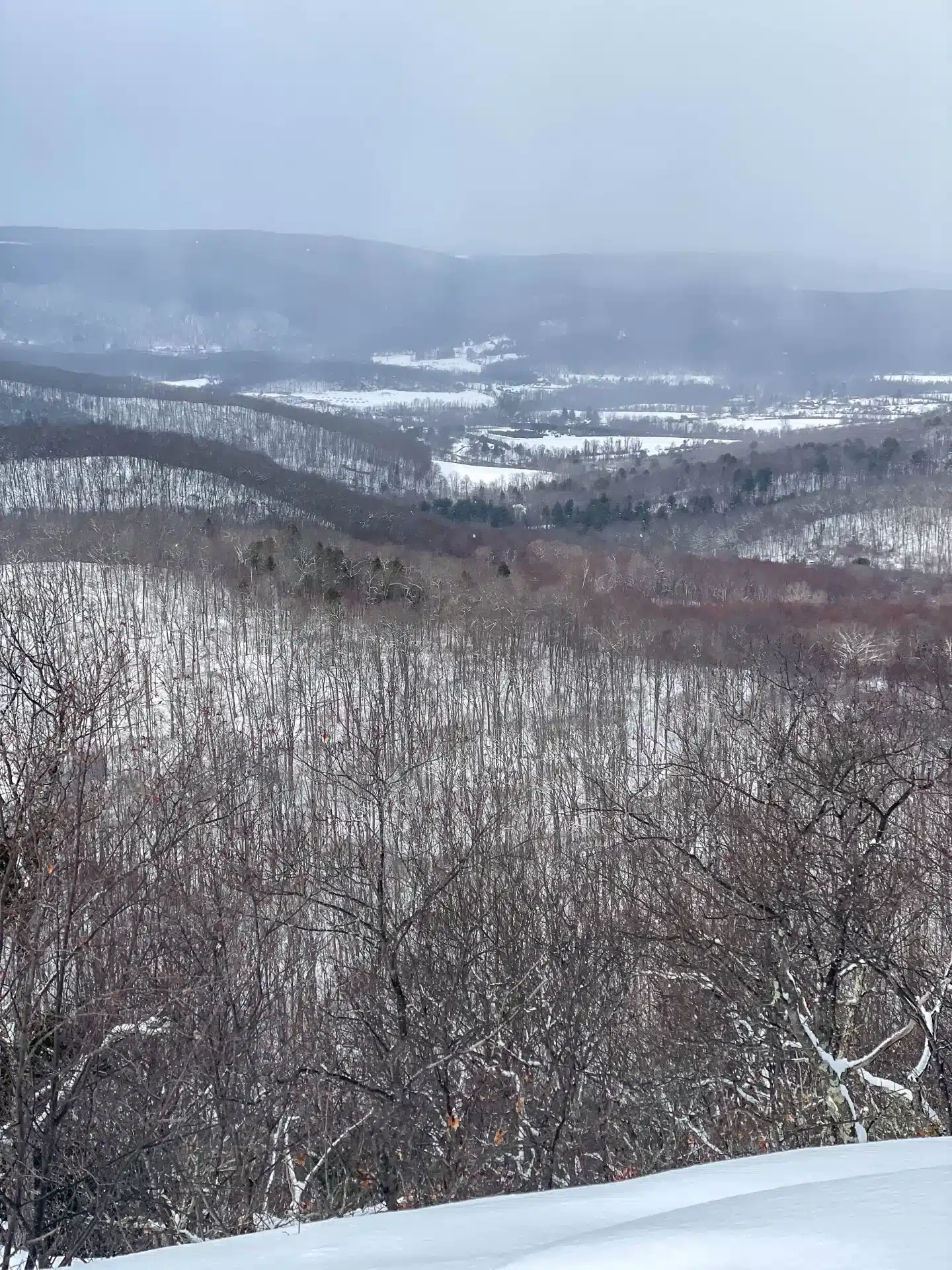 winter view with snowy trees and mountains in the distance at macedonia brook state park