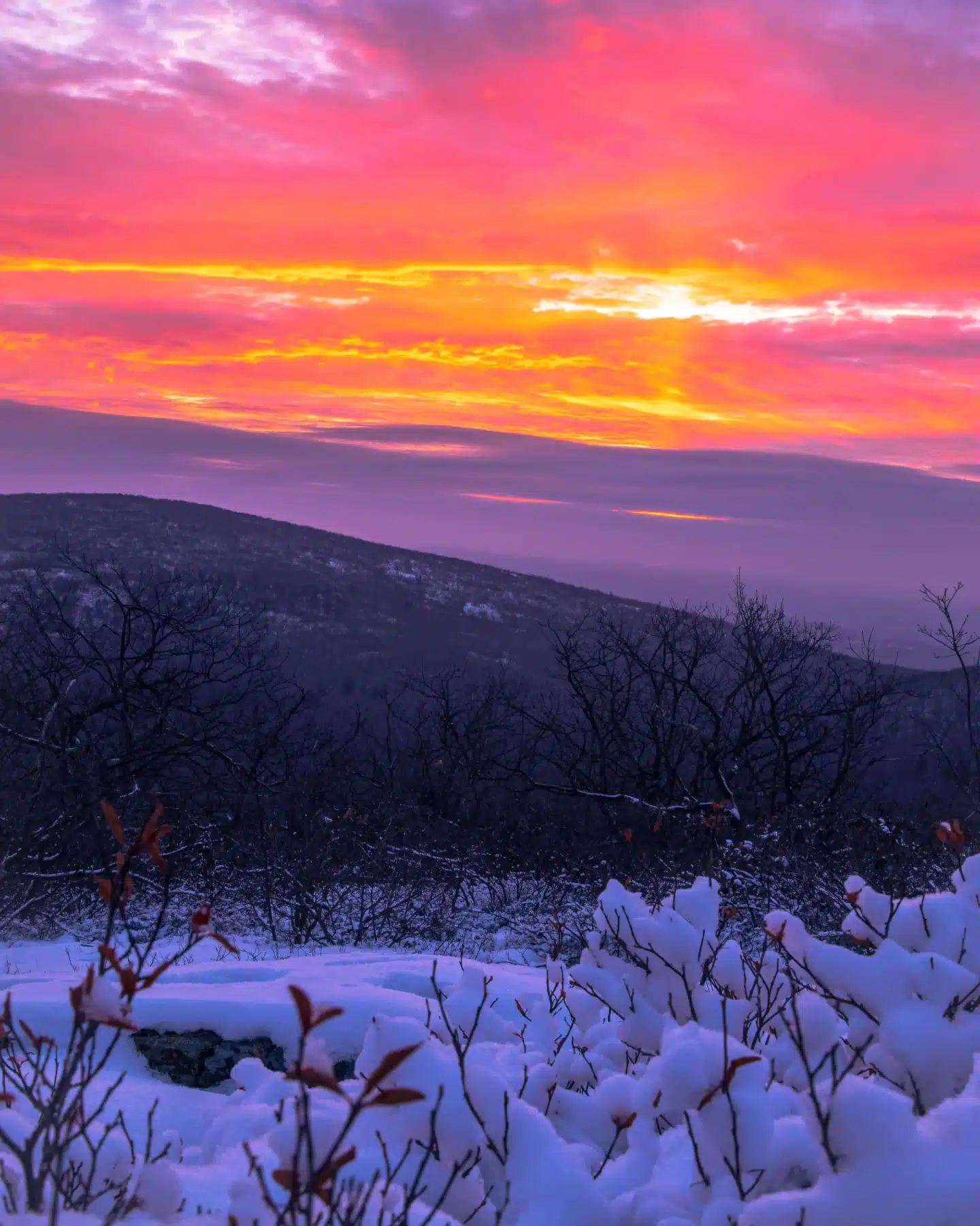 sunrise at top of round mountain in connecticut with pink and orange skies and snow on ground