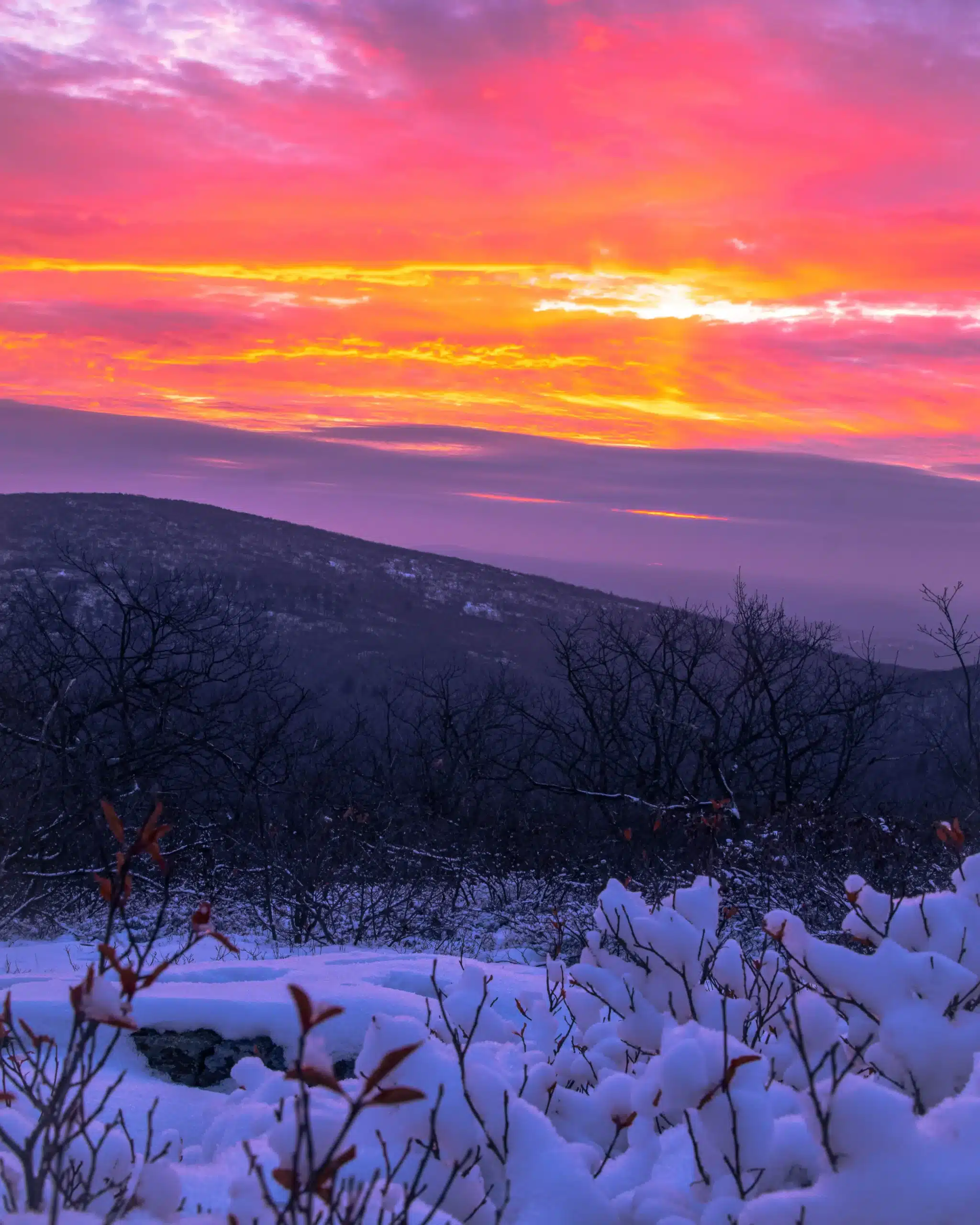 8 Beautiful River Walks & Trails in Connecticut