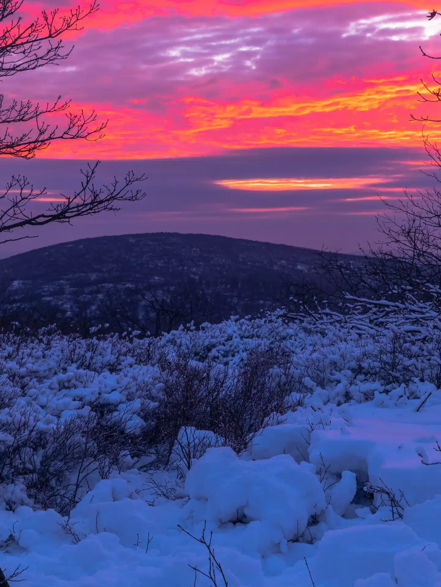 sunrise at top of round mountain in connecticut with pastel pink skies and snow on ground