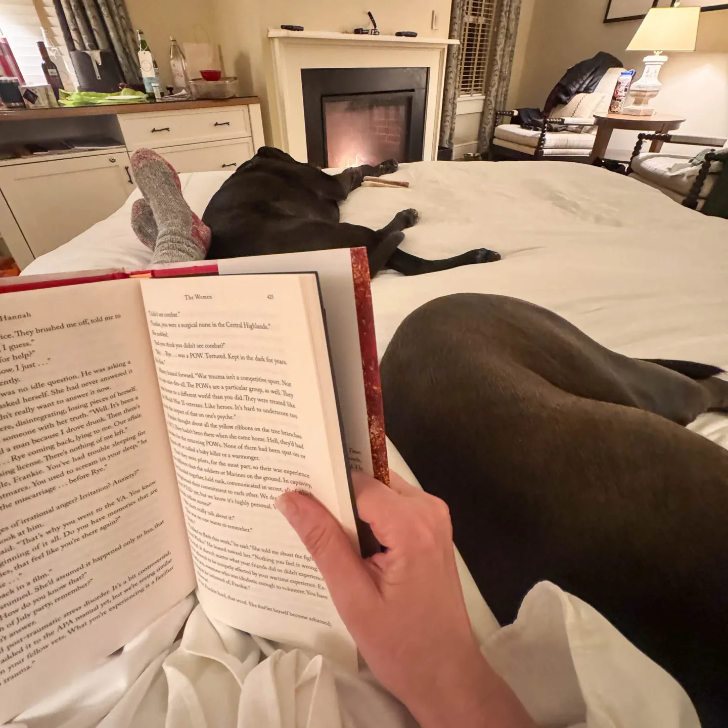 woman reading a book on a bed with two dogs at the kimpton taconic in manchester vermont