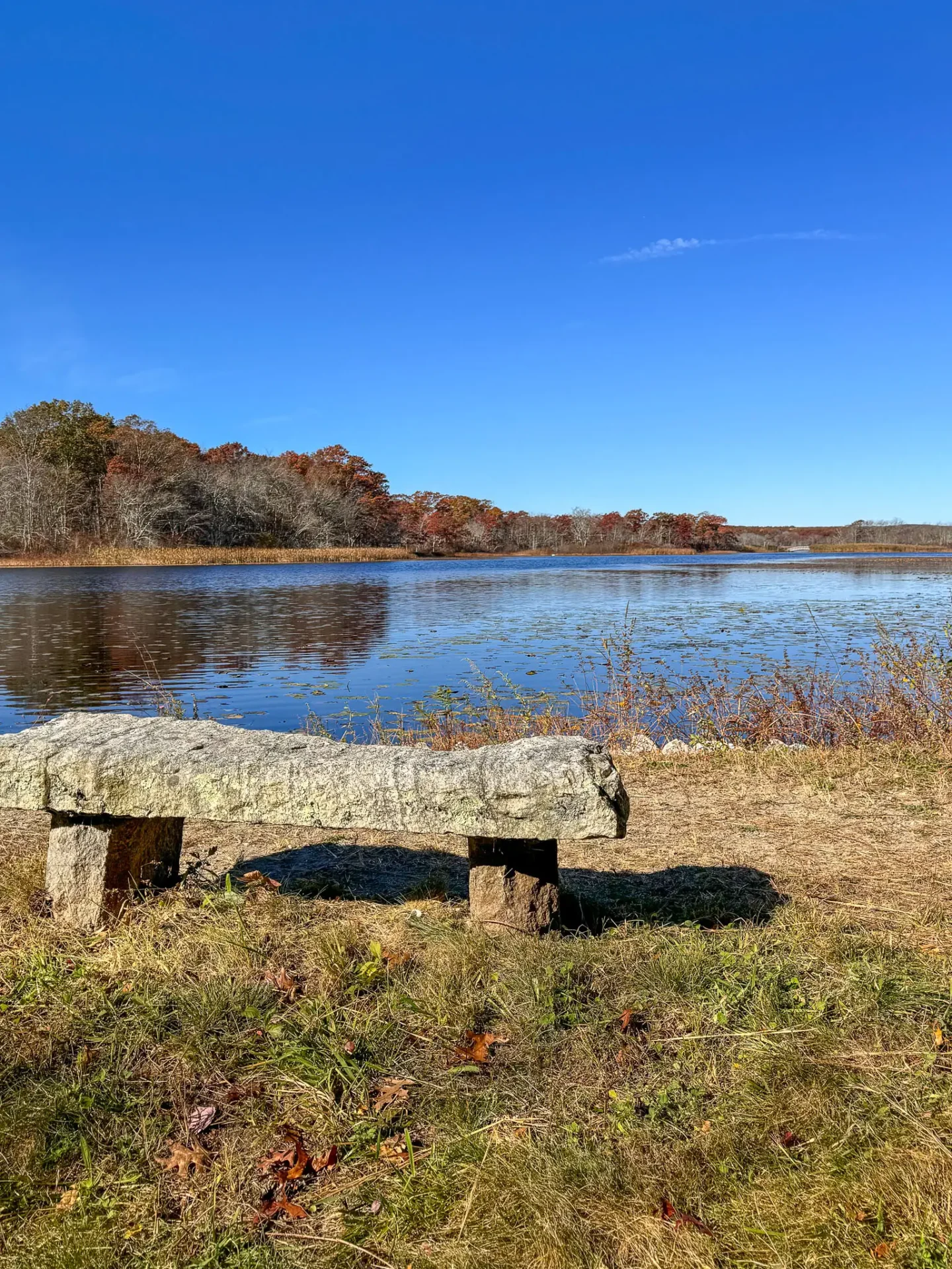 belleville pond hike in rhode island with a stone bench in front of the blue pond