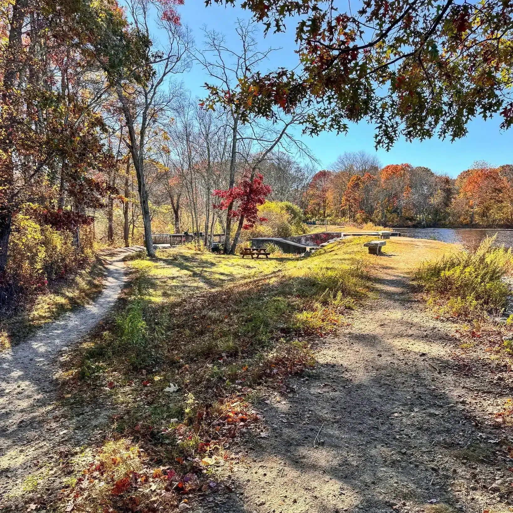 meadow view with trail running through on a fall day in rhode island