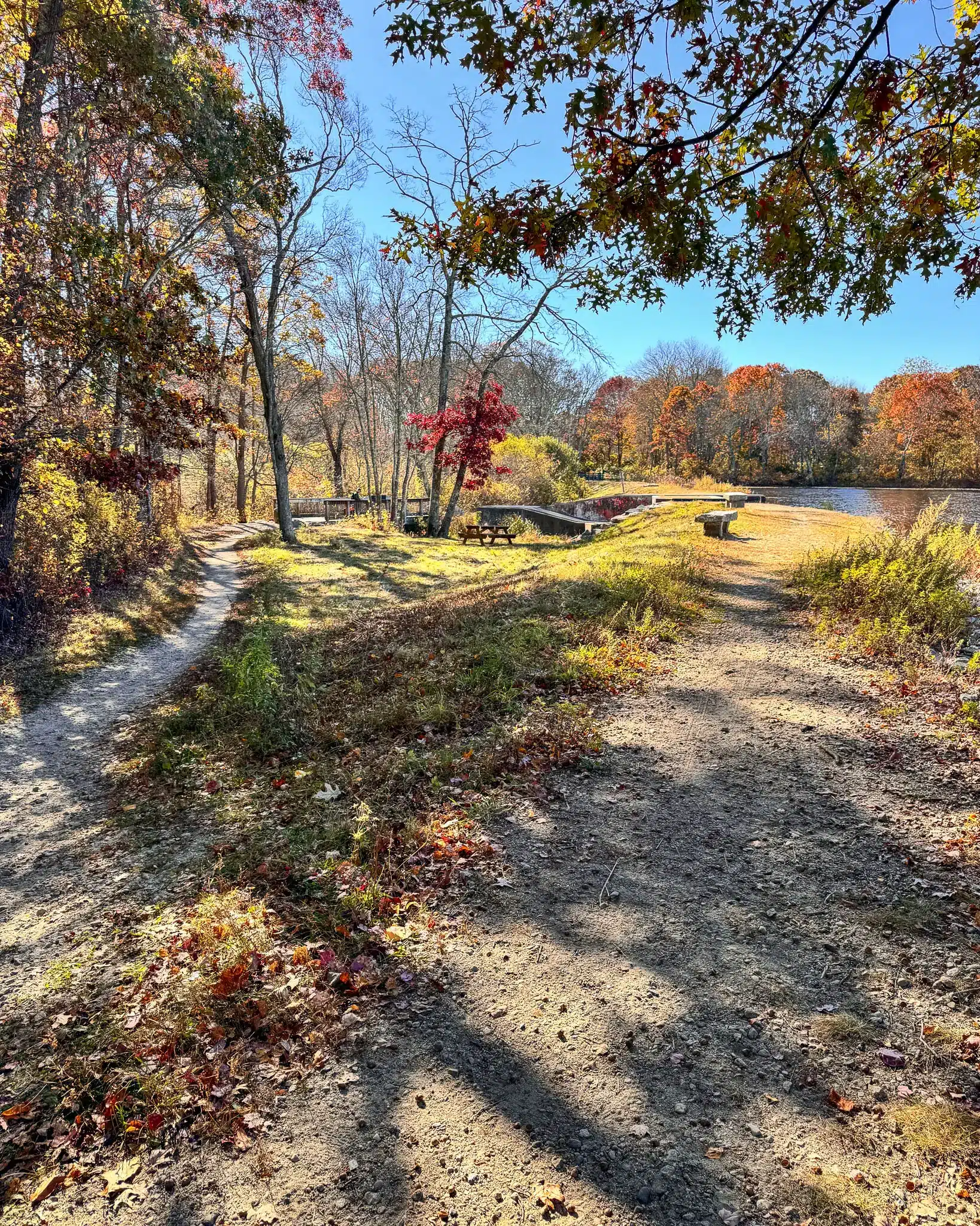 meadow view with trail running through on a fall day in rhode island