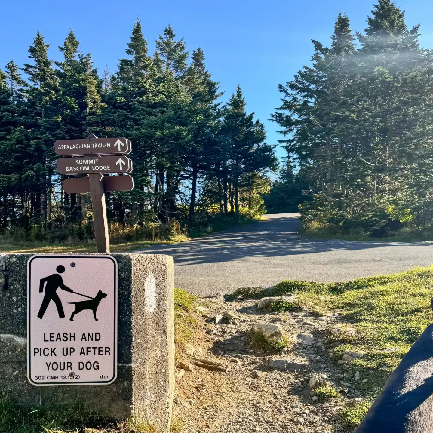 trail markers on way up mount greylock in massachusetts