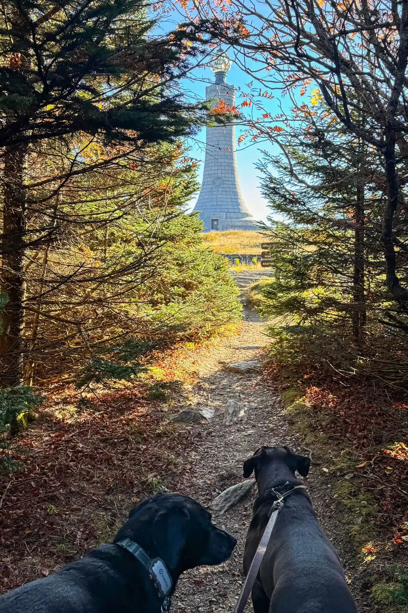 hike up to mount greylock in fall