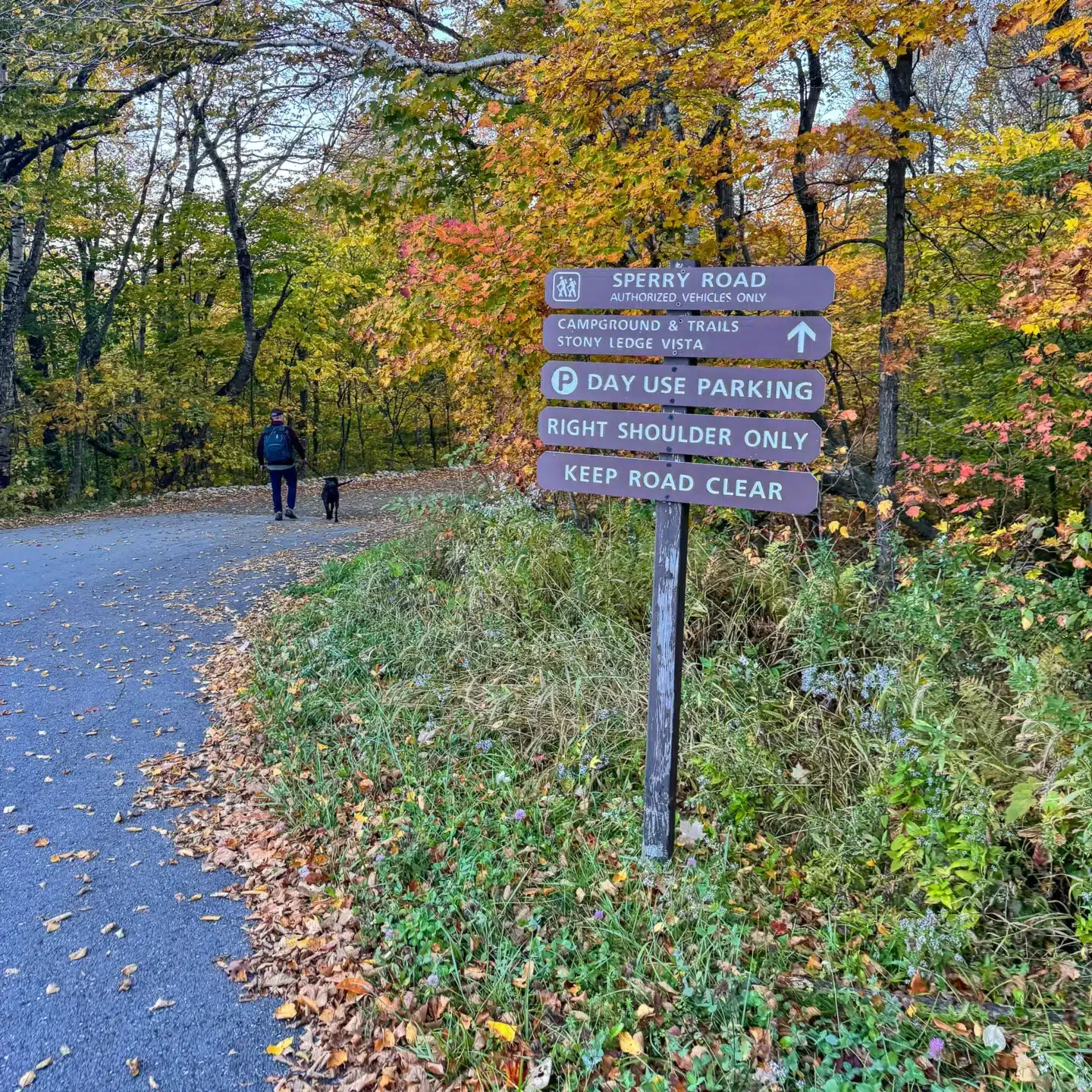 trail signs on hike up to mount greylock