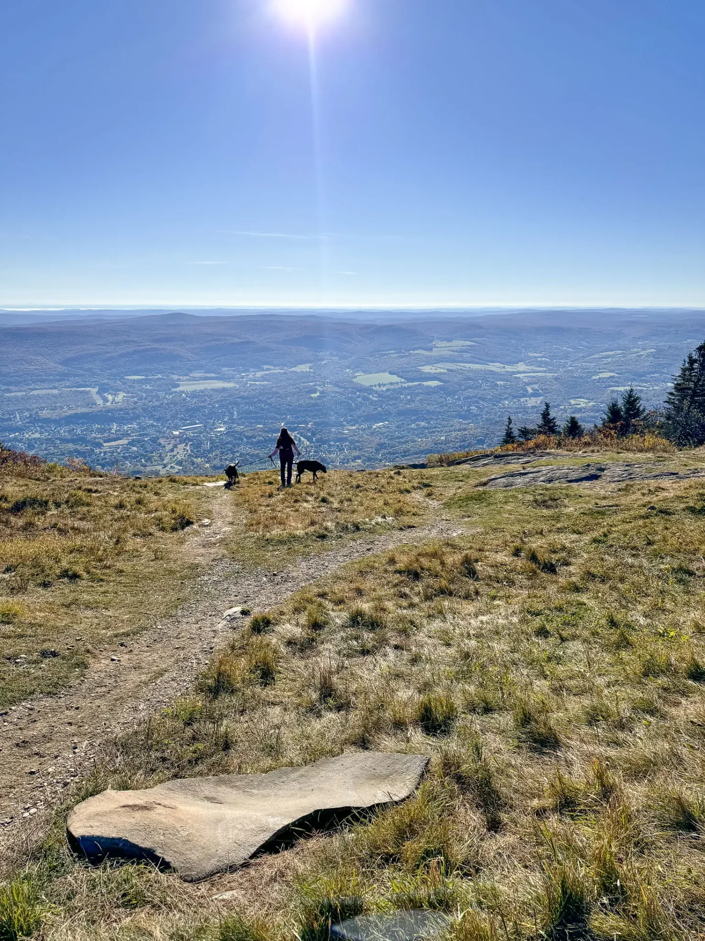 view from top of mount greylock