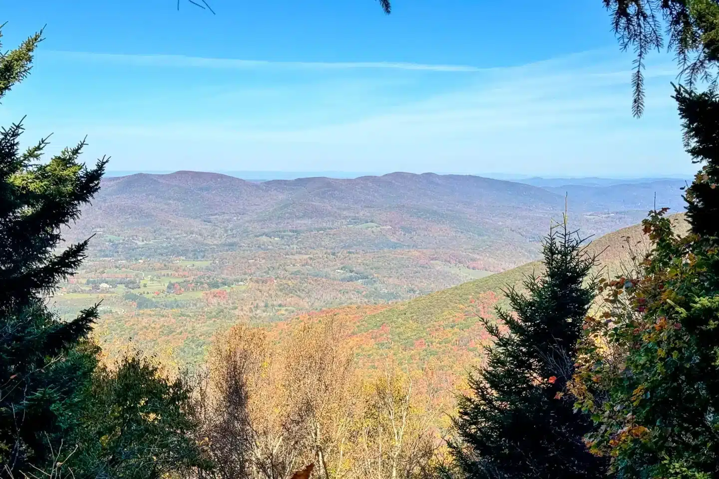 view from trail on way to mount greylock in massachusetts