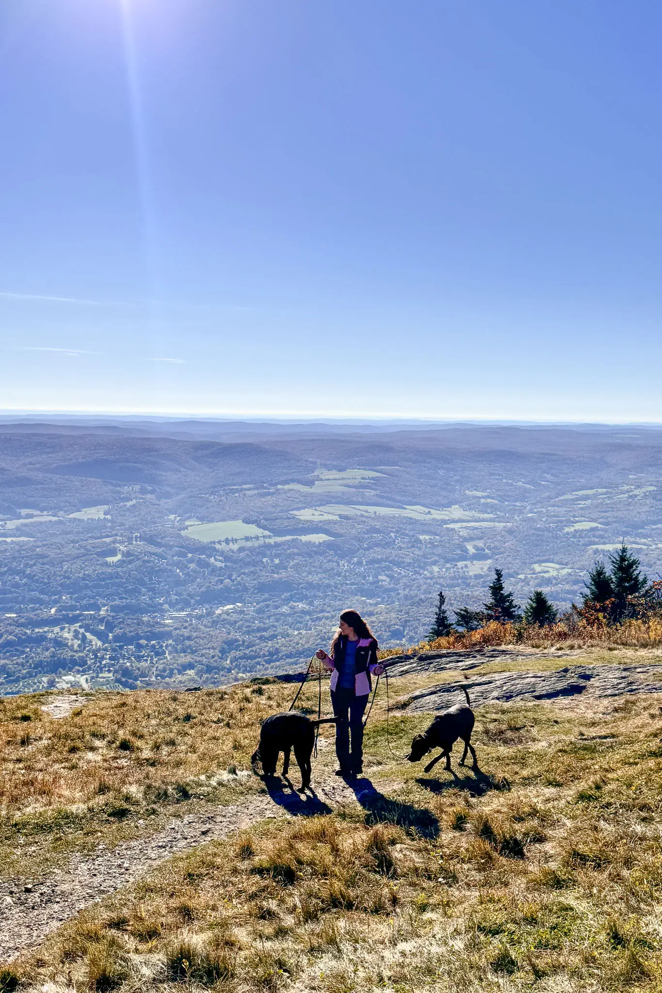 woman and two dogs at top of mount greylock in the fall