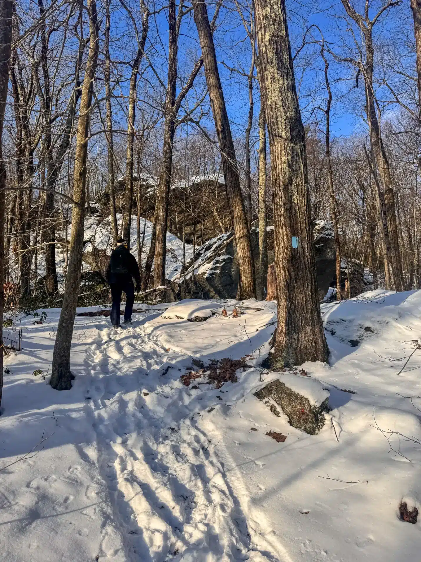 snowy blue blazed tunxis trail in barkhamsted ct