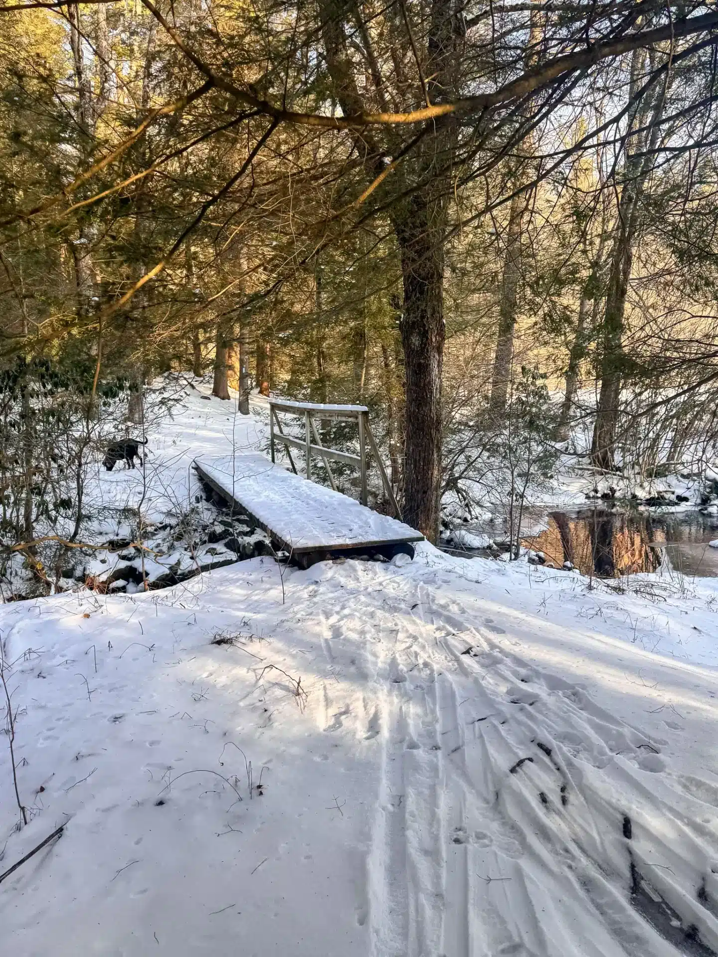 snow covered hiking trail with bridge crossing small pool on water