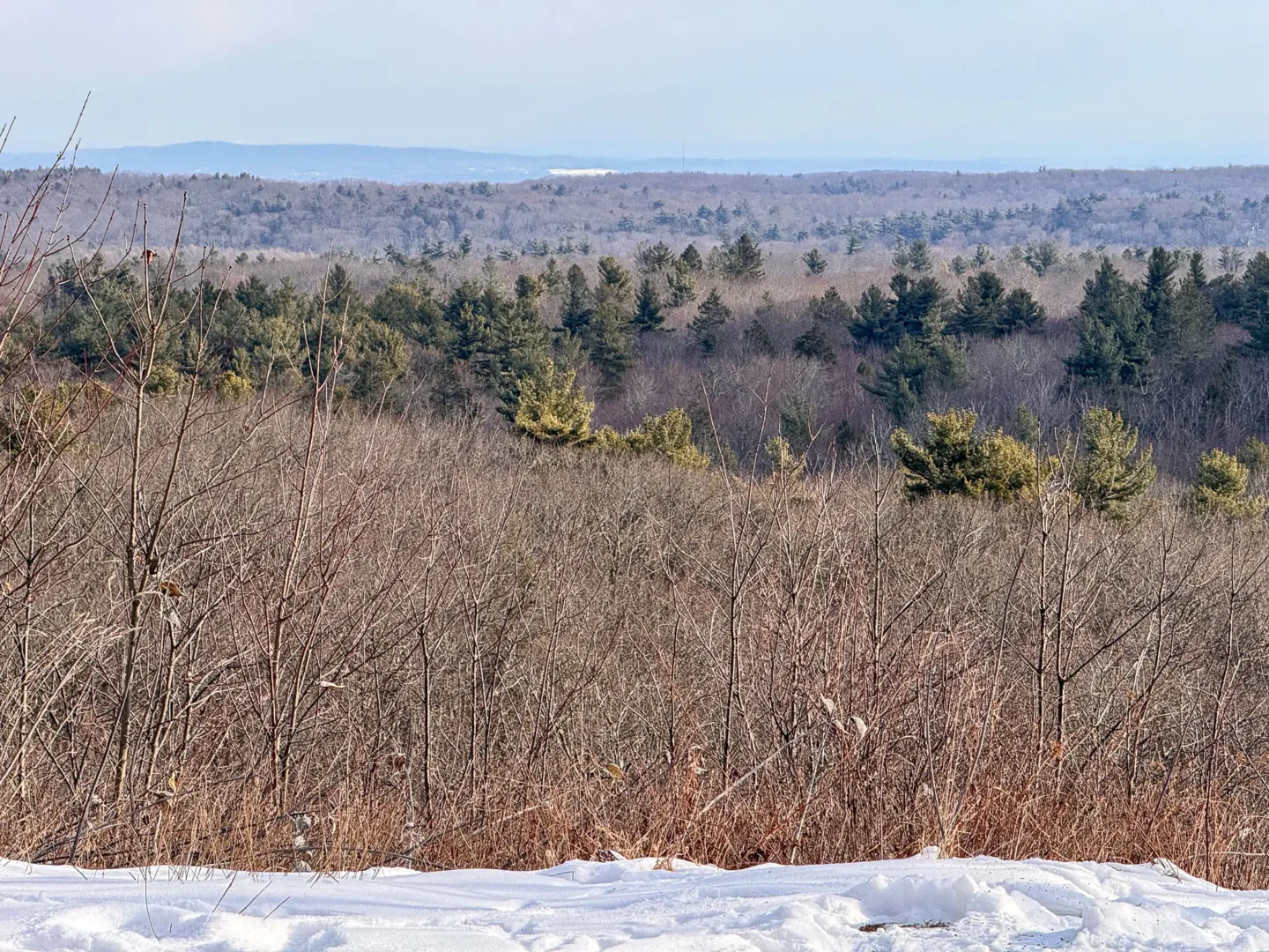 view from top of snowy pine mountain in connecticut with snowy on ground and green evergreen trees in distance and light blue skies