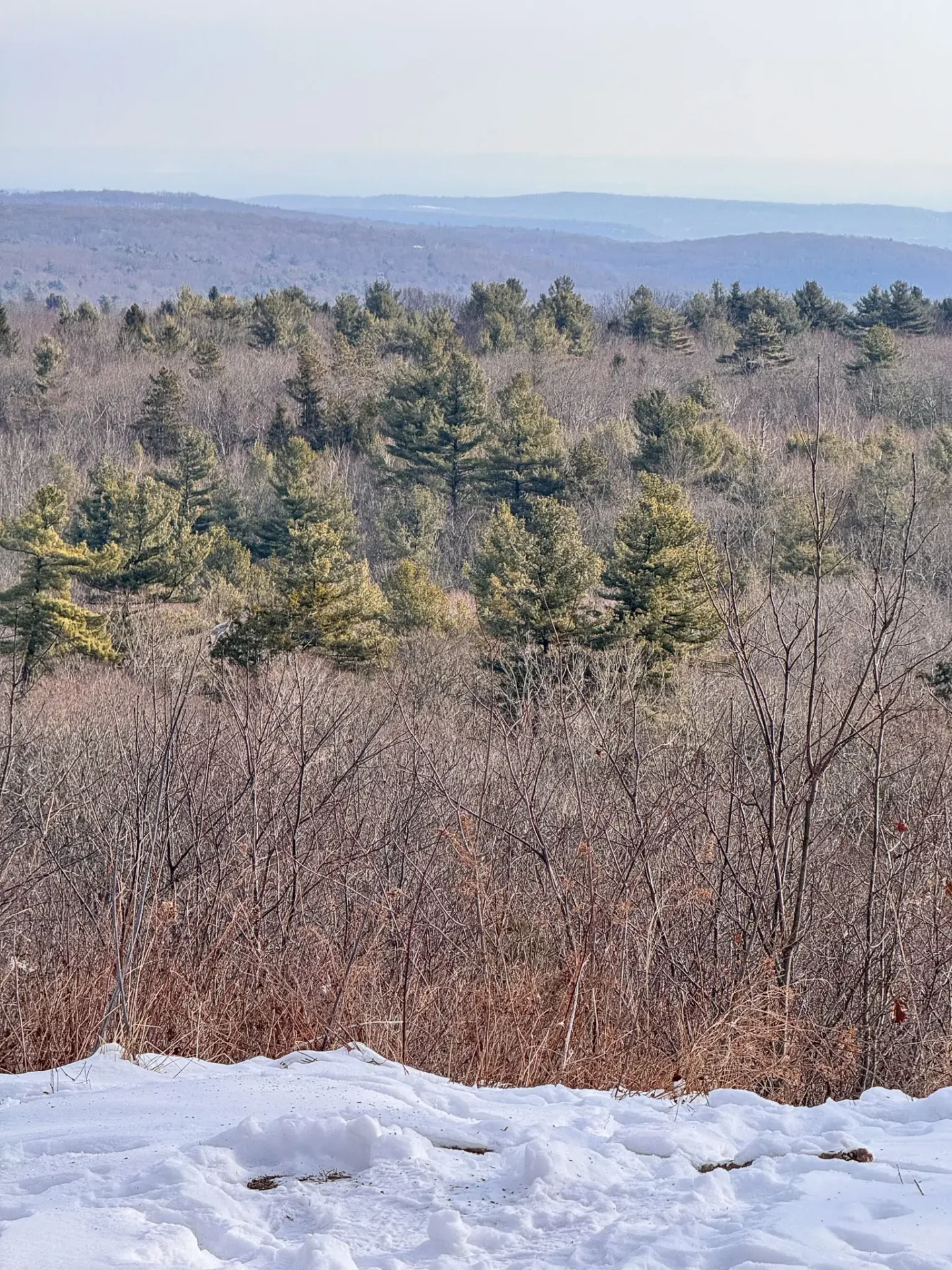 view from top of snowy pine mountain in connecticut with snowy on ground and green evergreen trees in distance and light blue skies