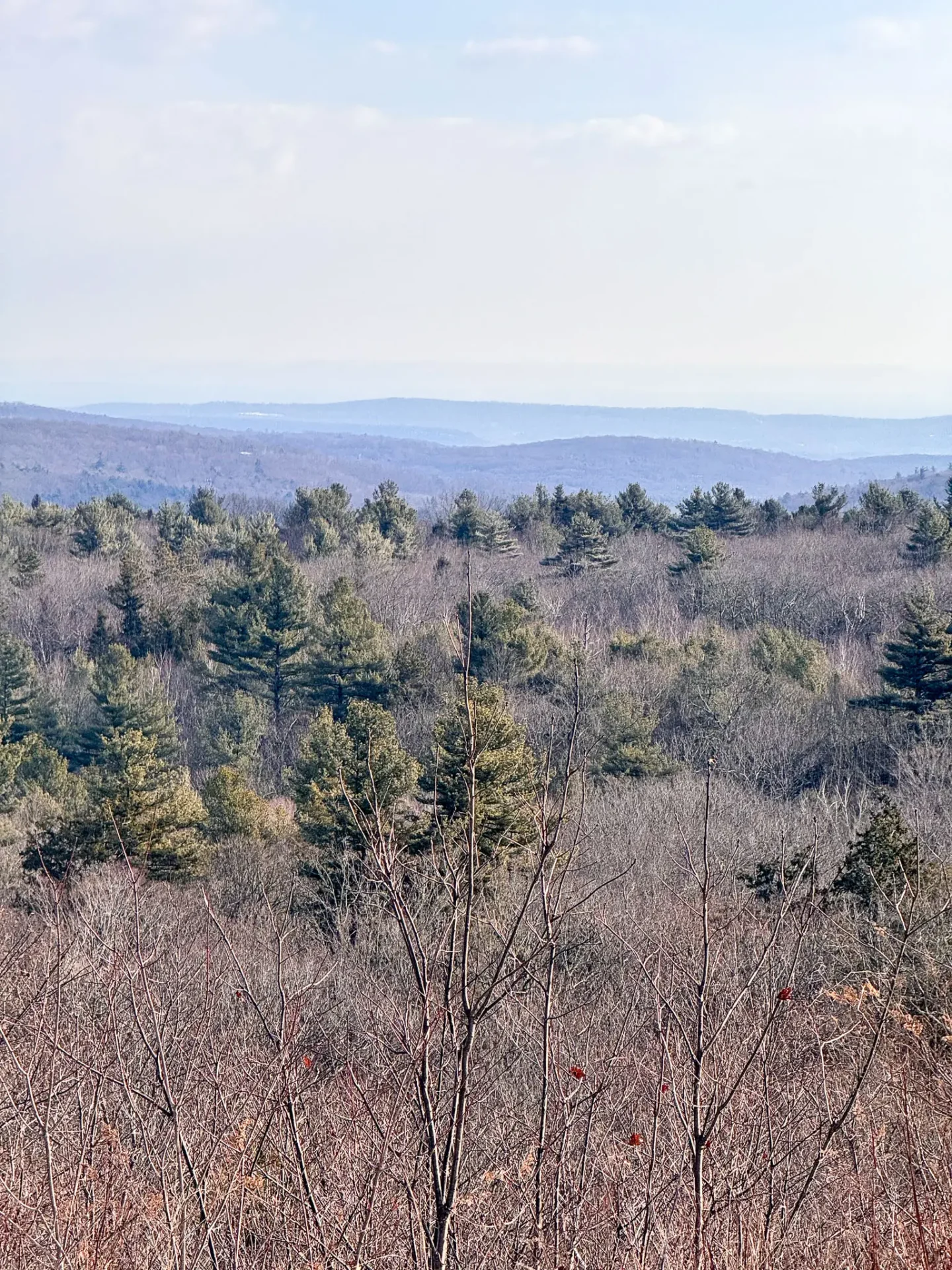 view from top of snowy pine mountain in connecticut with snowy on ground and green evergreen trees in distance and light blue skies