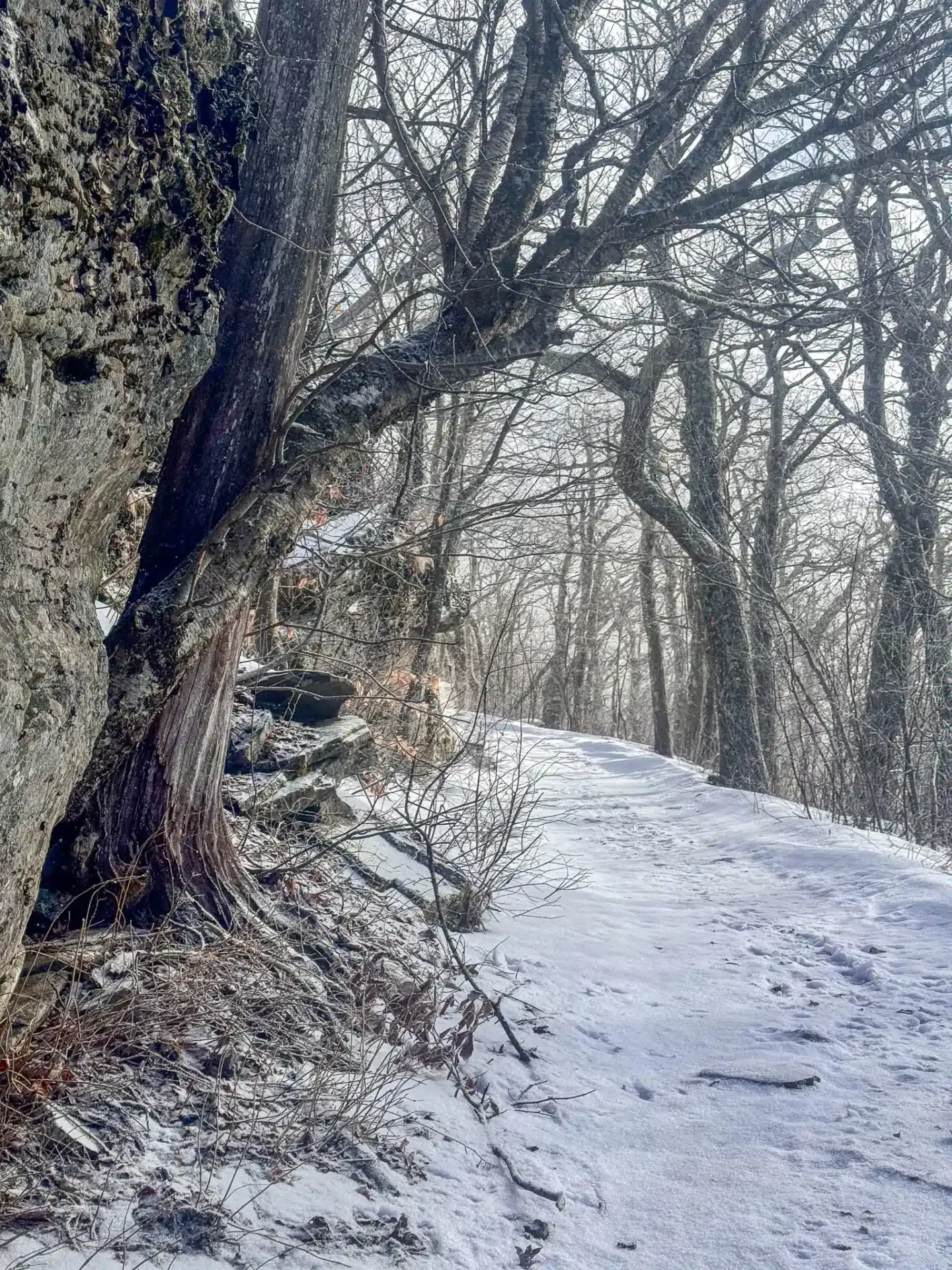 wide snowy path heading up overlook mountain in woodstock new york