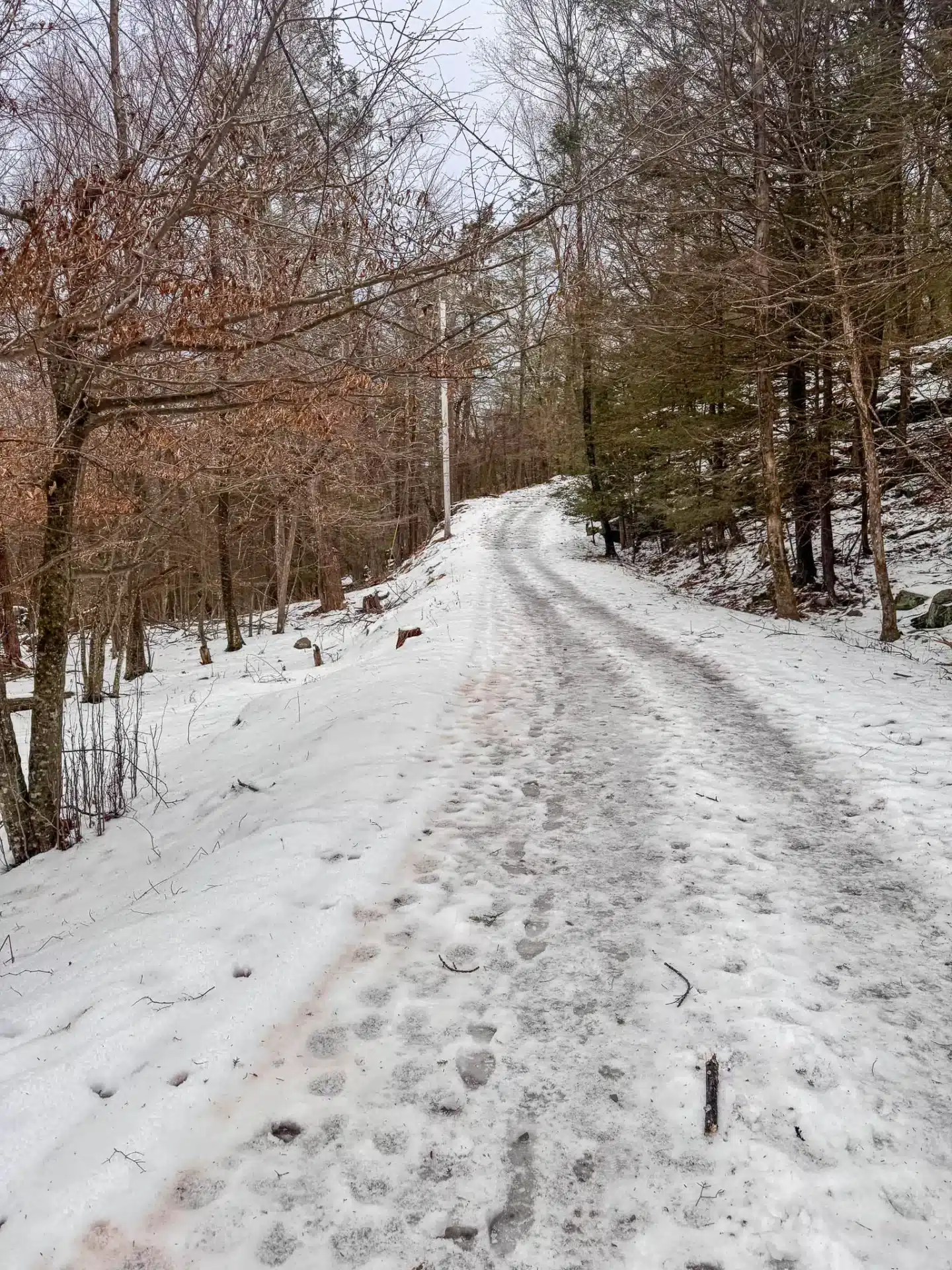 wide path up overlook mountain in the catskills