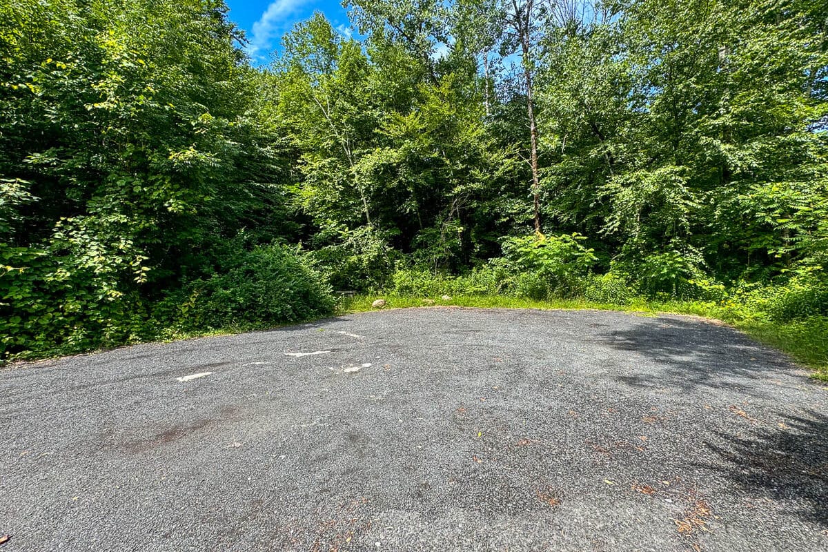 gravel parking lot in summer surrounded by green trees