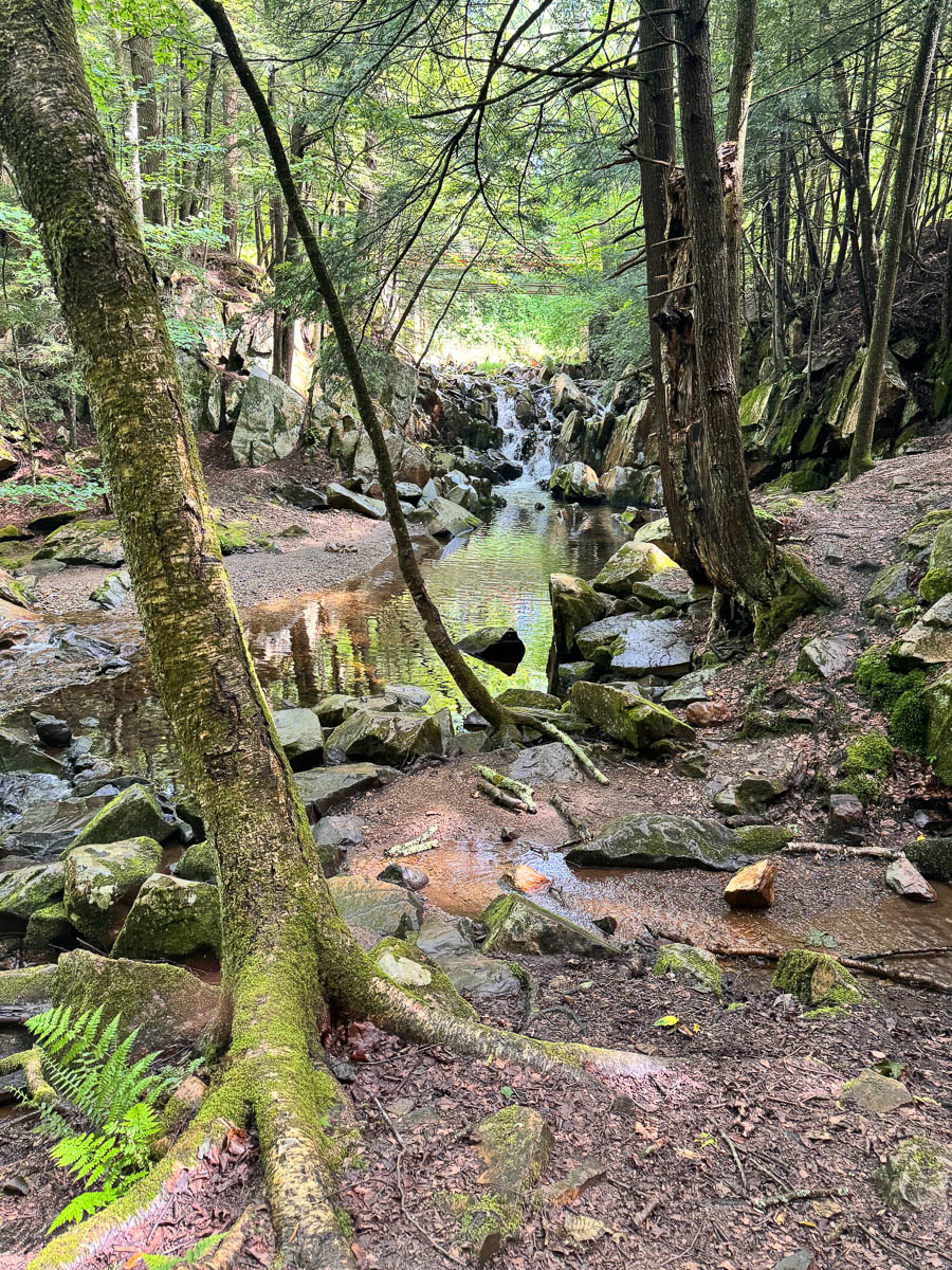 small cascades waterfall at the start of cheshire cobbles hike in massachusetts in summer surrounded by green trees