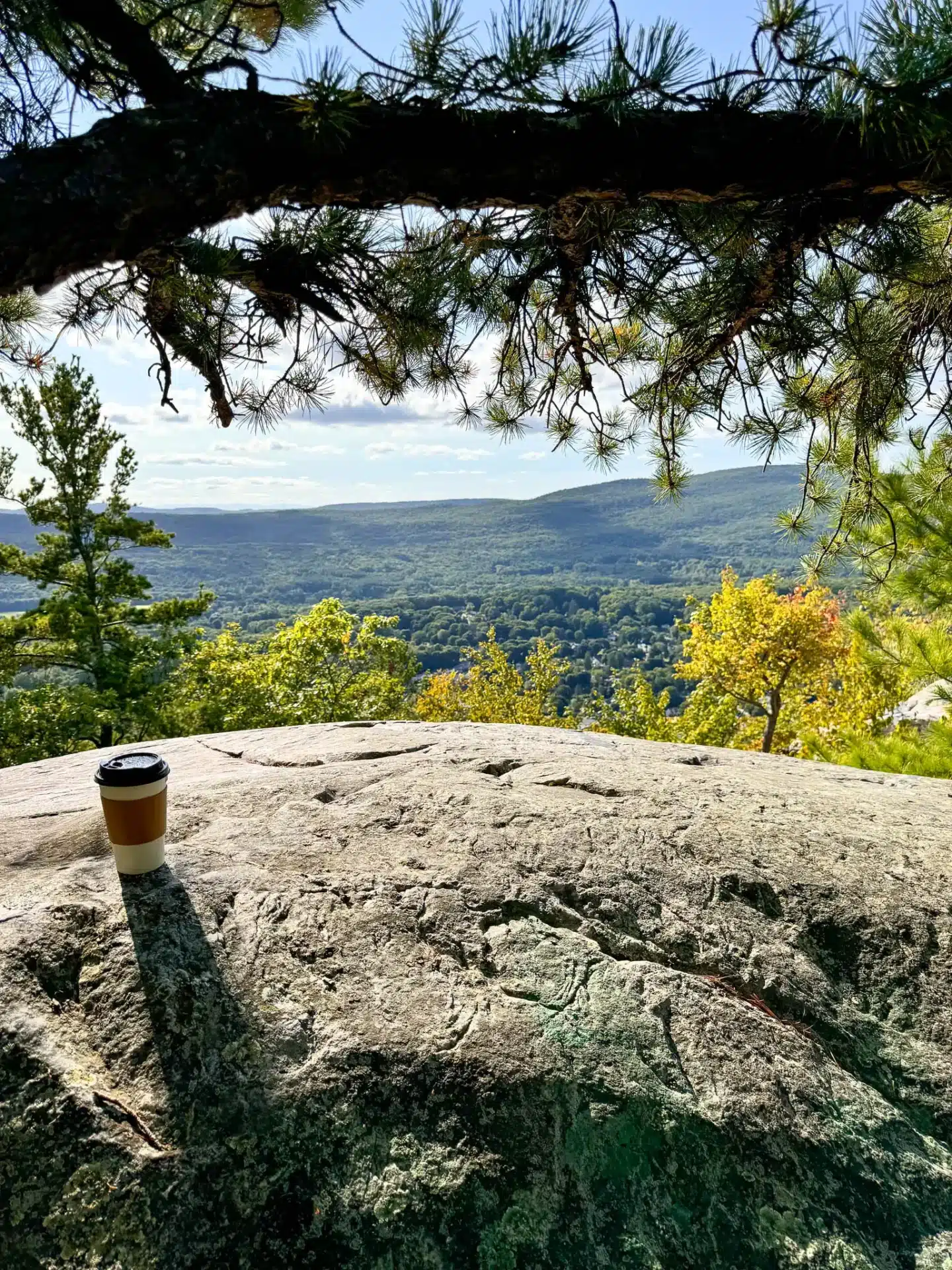 picture of coffee cup on top of flag rock in massachusetts