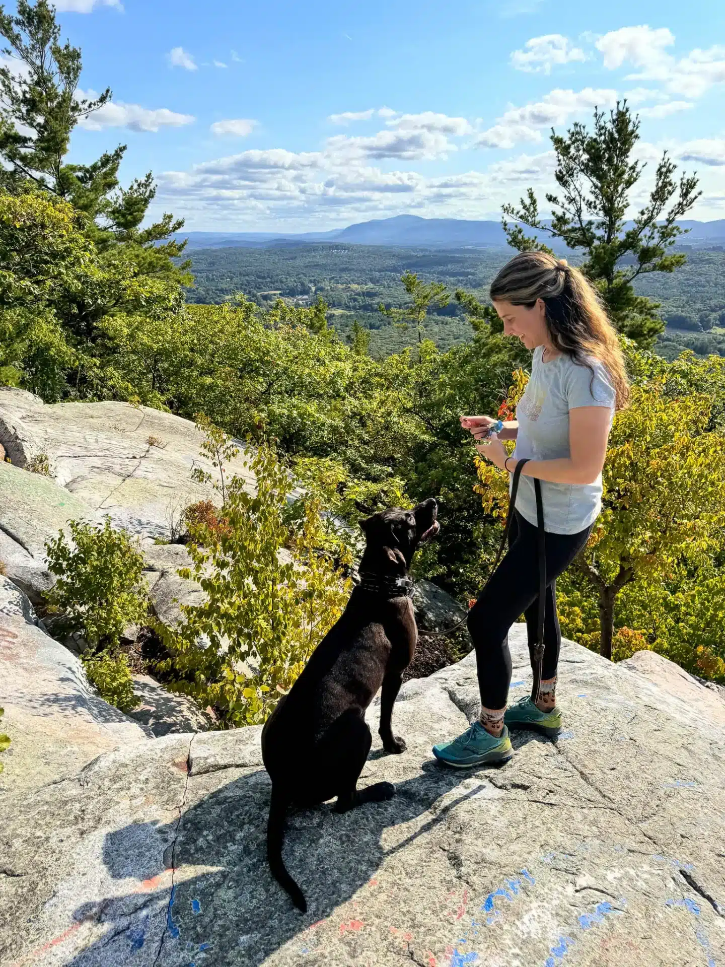 woman in blue t shirt and brown dog on top of flag rock in massachusetts with view of green trees and some yellow leaves at end of summer