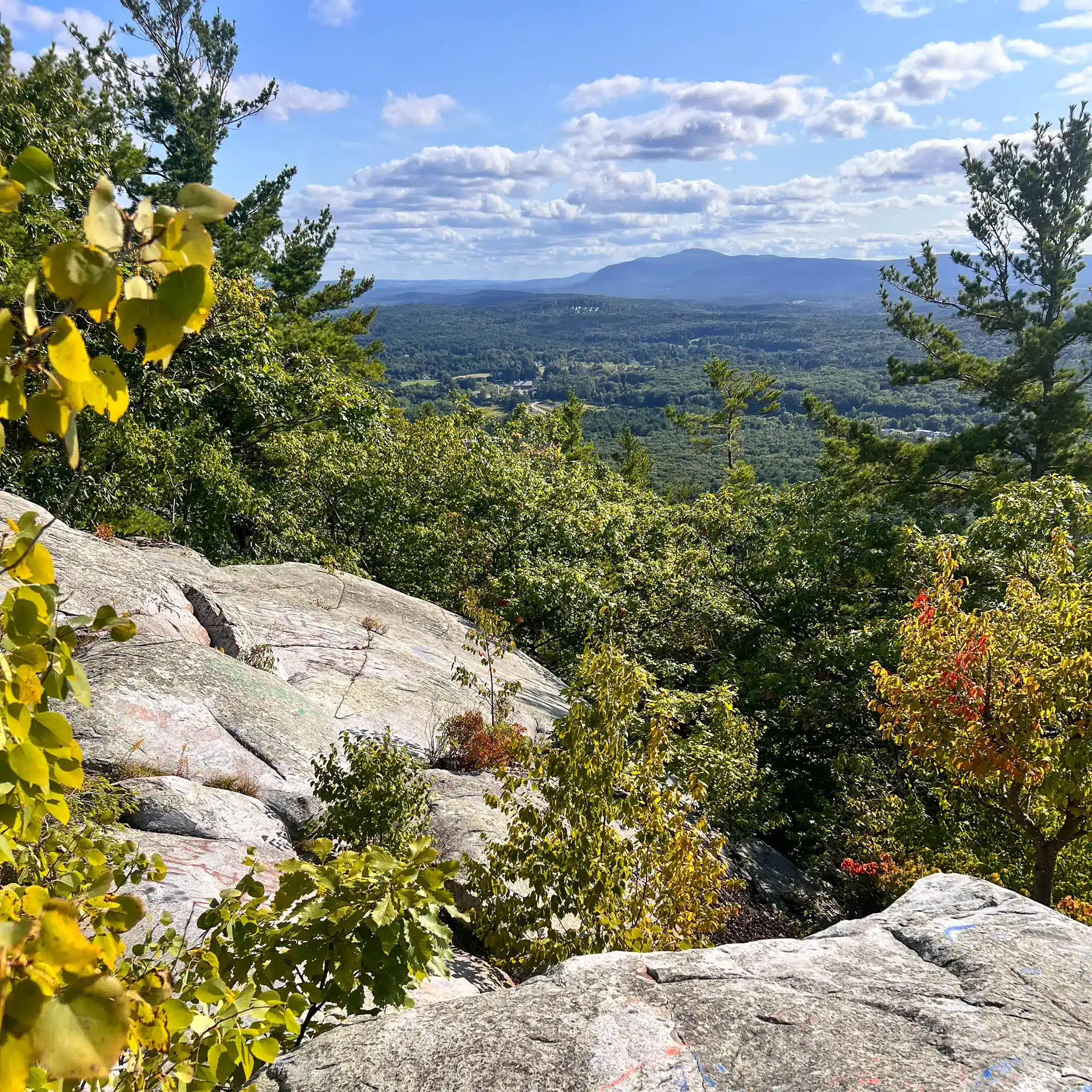 view on top of flag rock in massachusetts with view of green trees and some yellow leaves at end of summer