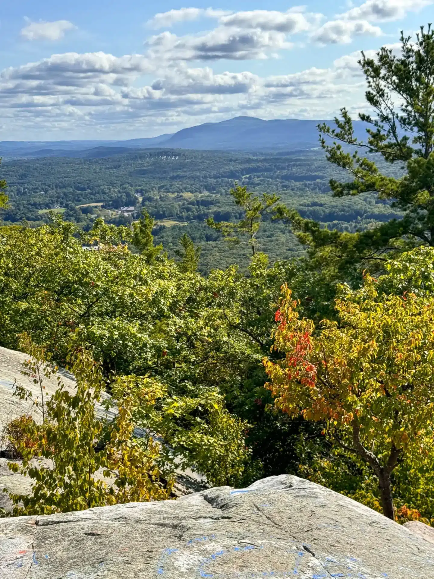 view from flag rock hike in great barrington in late summer with green mountains in the distance