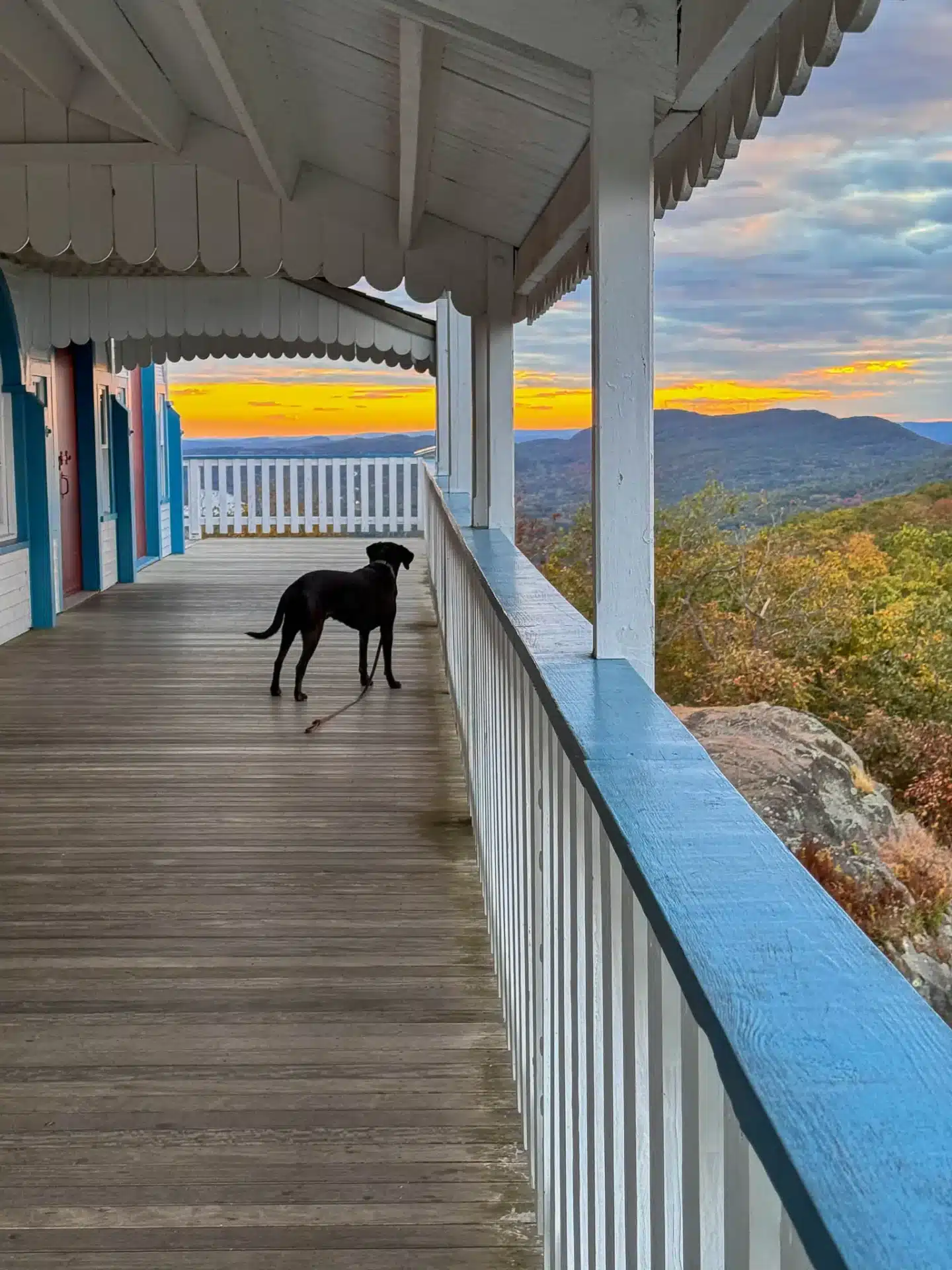 big black dog on deck of the mount holyoke summit house at sunset with orange sky