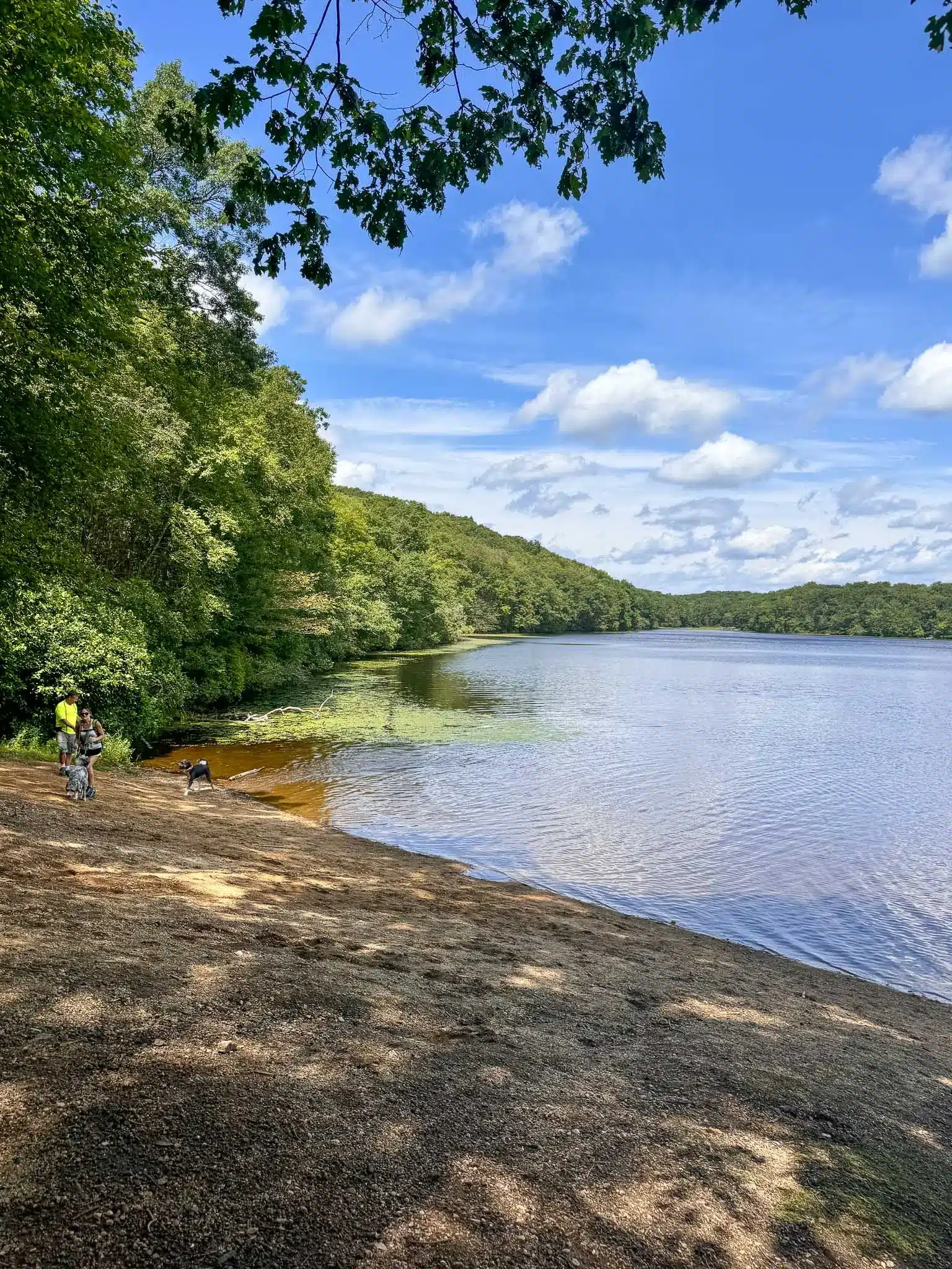 pattaconk reservoir in connecticut with blue water surrounded by green trees and blue sky in summer