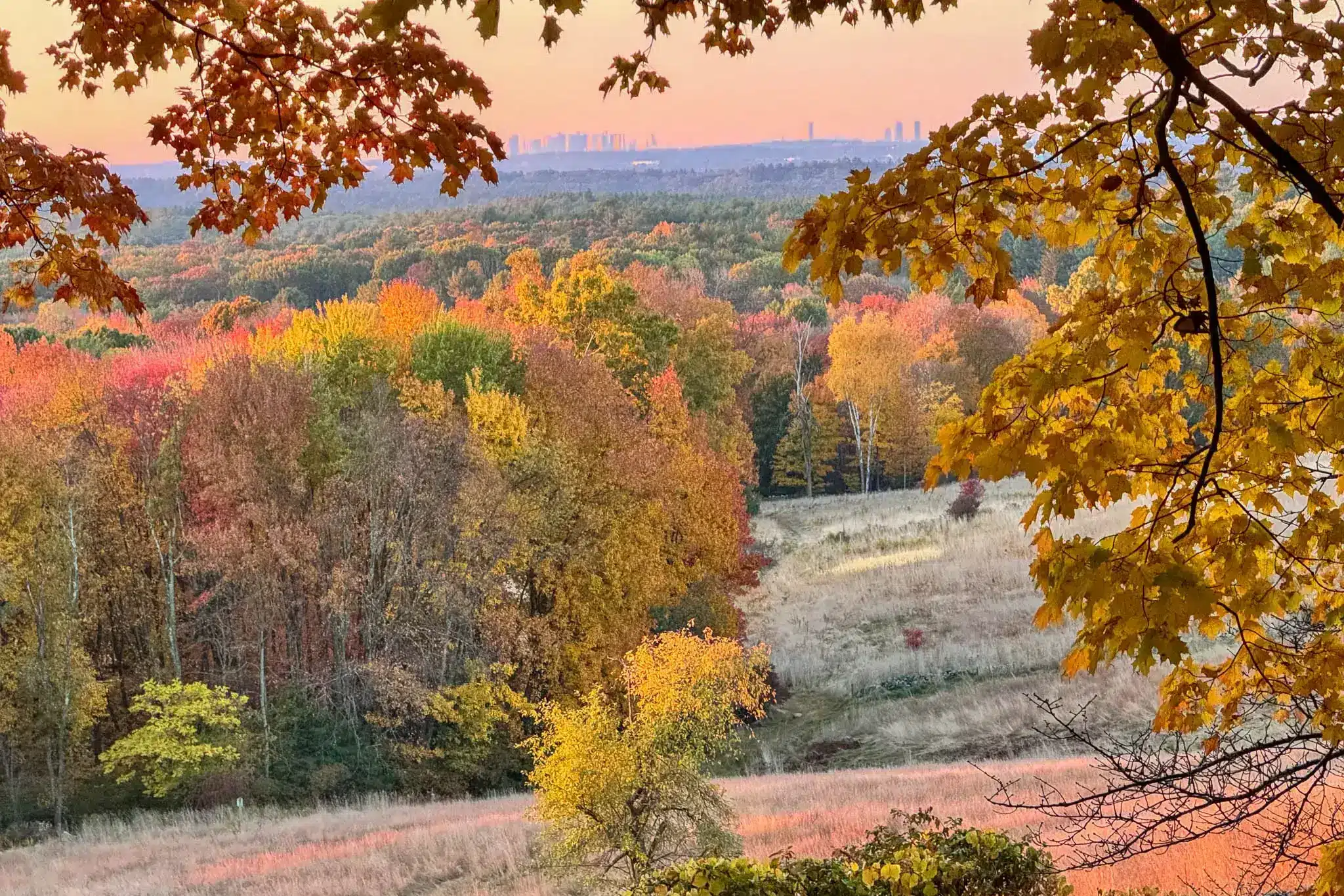 view from holt hill toward boston skyline in fall