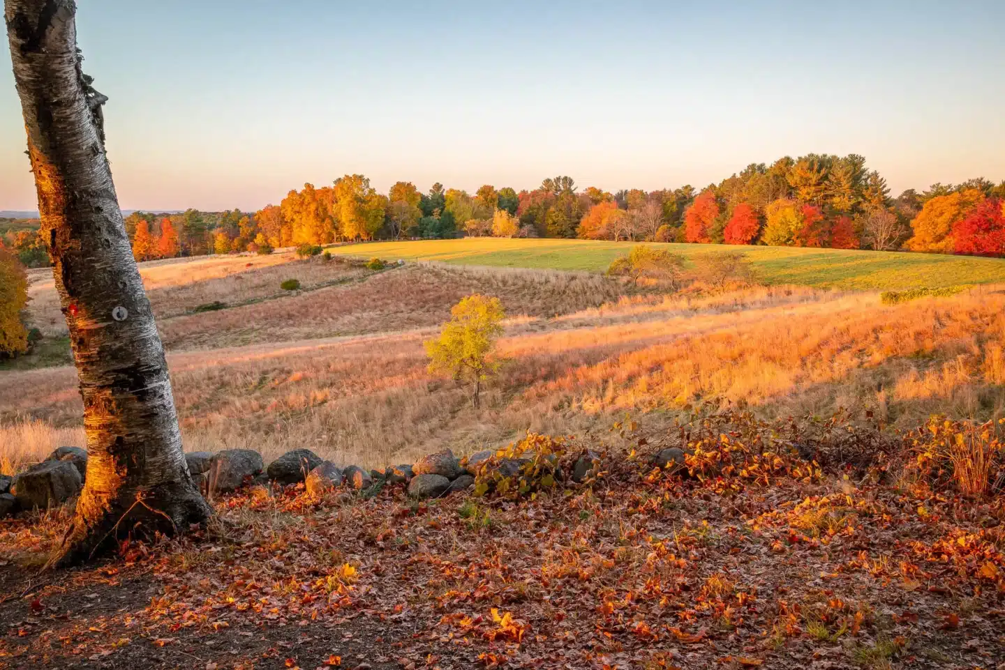 holt hill hike in massachusetts in fall with orange trees in distance across meadow