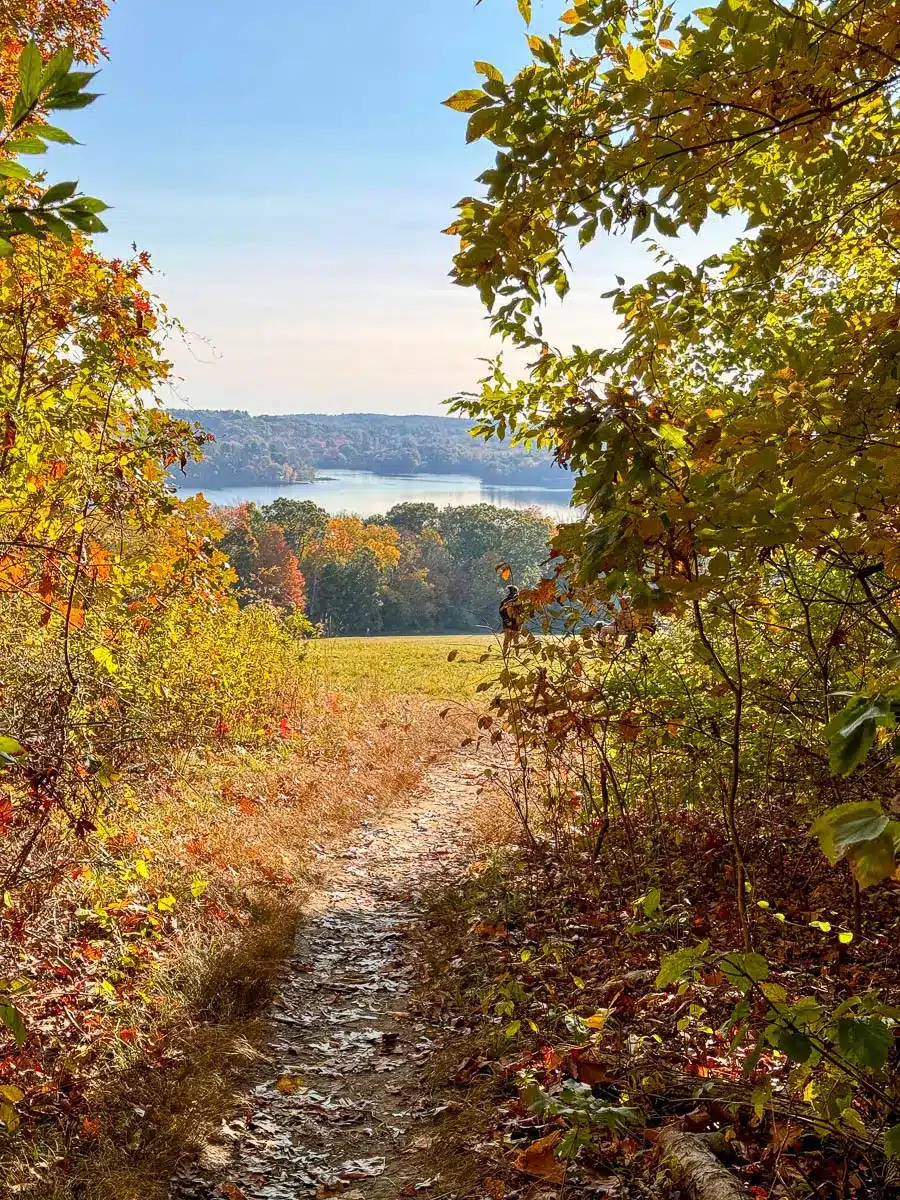 beautiful trail leading to views over lake cochichewick with golden leaves framing the view at weir hill reservation