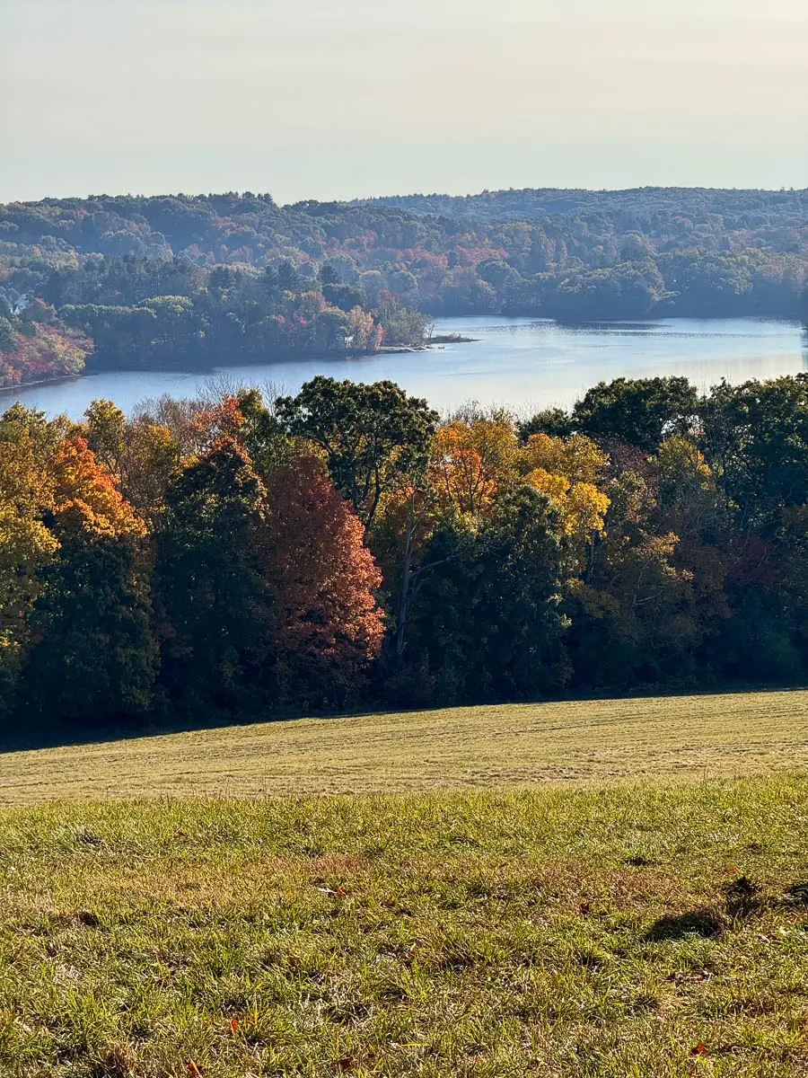 view atop a big hill of a meadow overlooking lake cochichewick