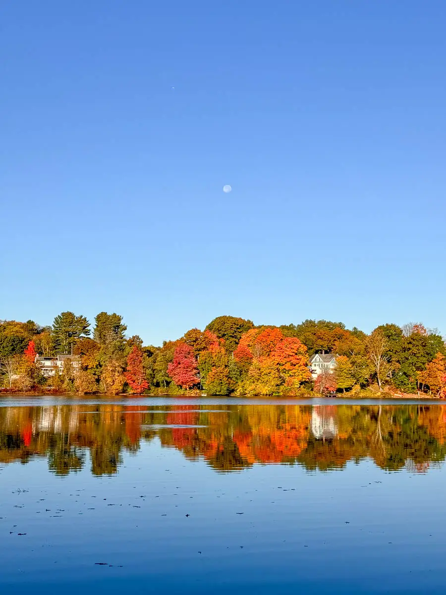 red and orange colored trees in autumn surrounding lake cochichewick