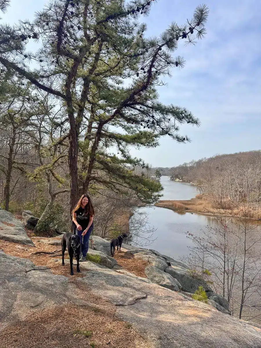 black dog, brown dog, and woman on ledge overlooking lake in guilford with light blue sky.