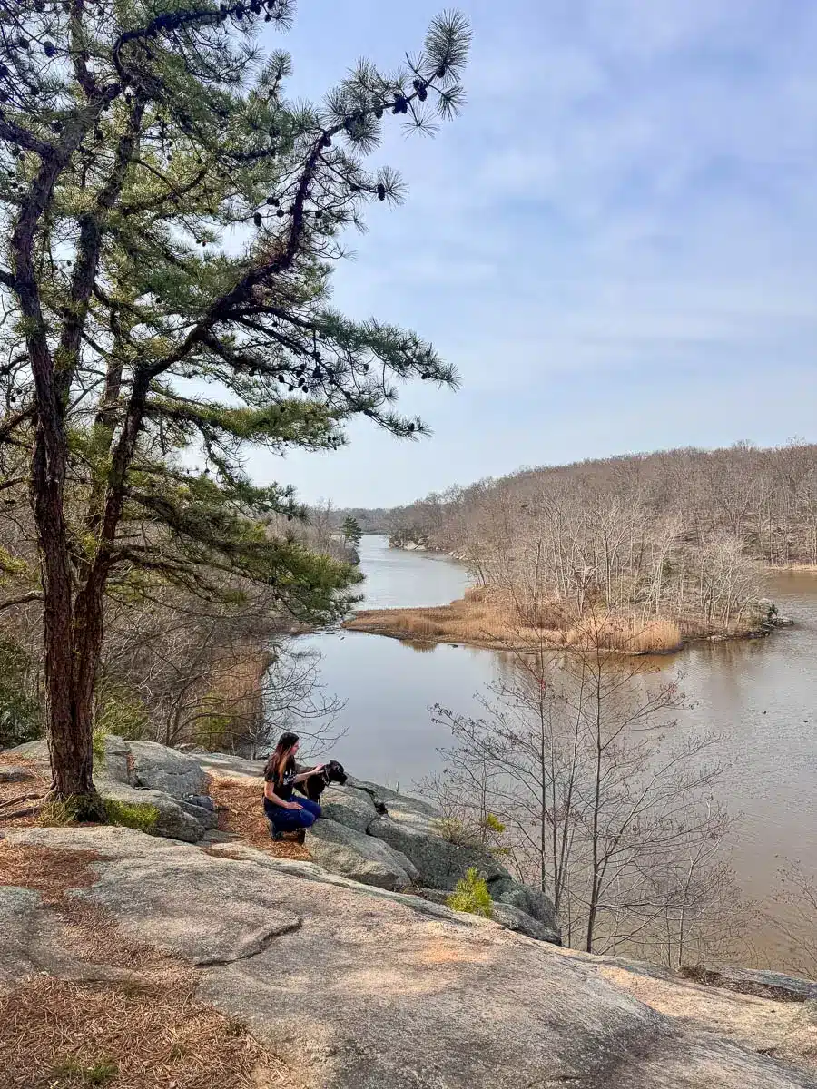 black dog, brown dog, and woman on ledge overlooking lake in guilford with light blue sky.
