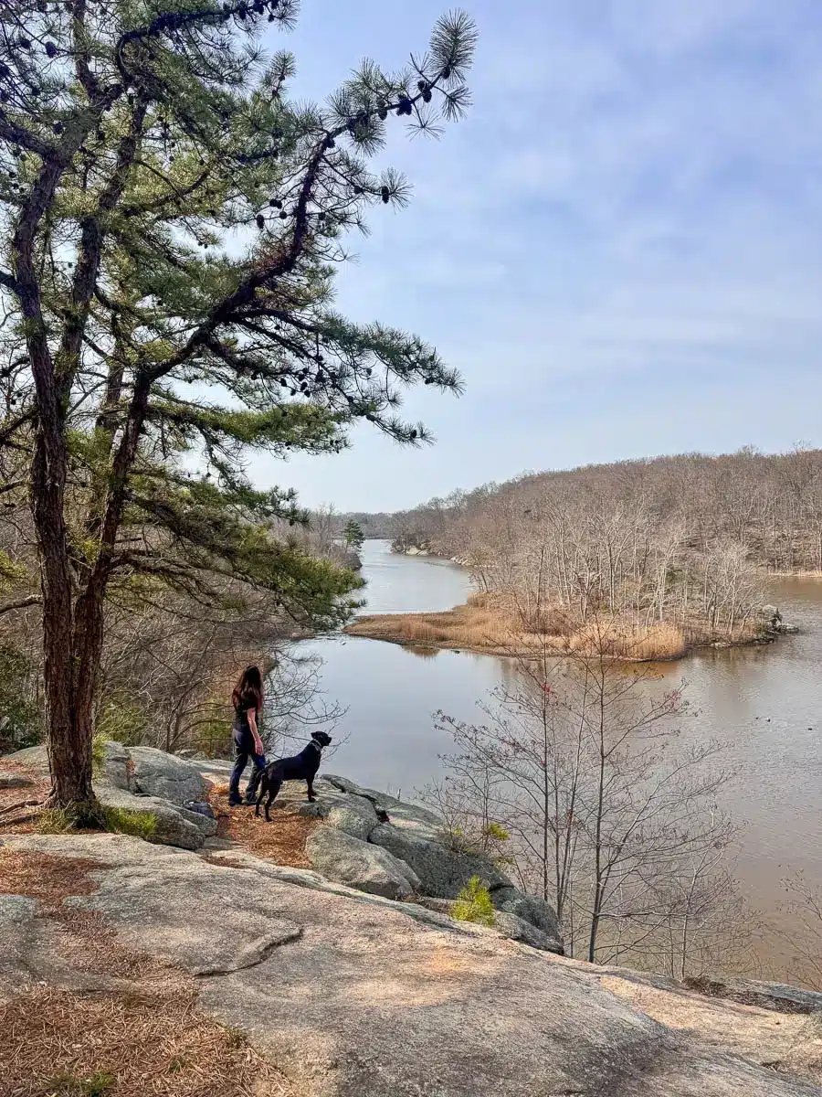 black dog and woman on ledge overlooking lake in guilford with light blue sky.