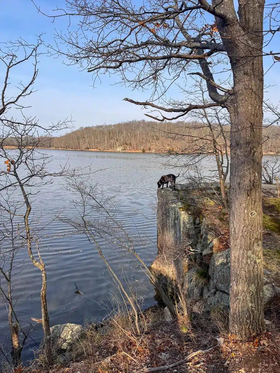 view from ledge overlooking lake in guilford with light blue sky.