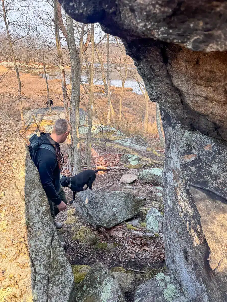 man hiking in westwoods in guilford with backpack on.