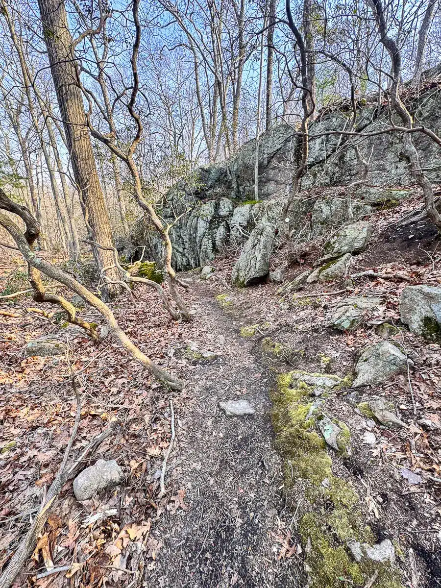 rock formations on westwoods loop trail in guilford connecticut.