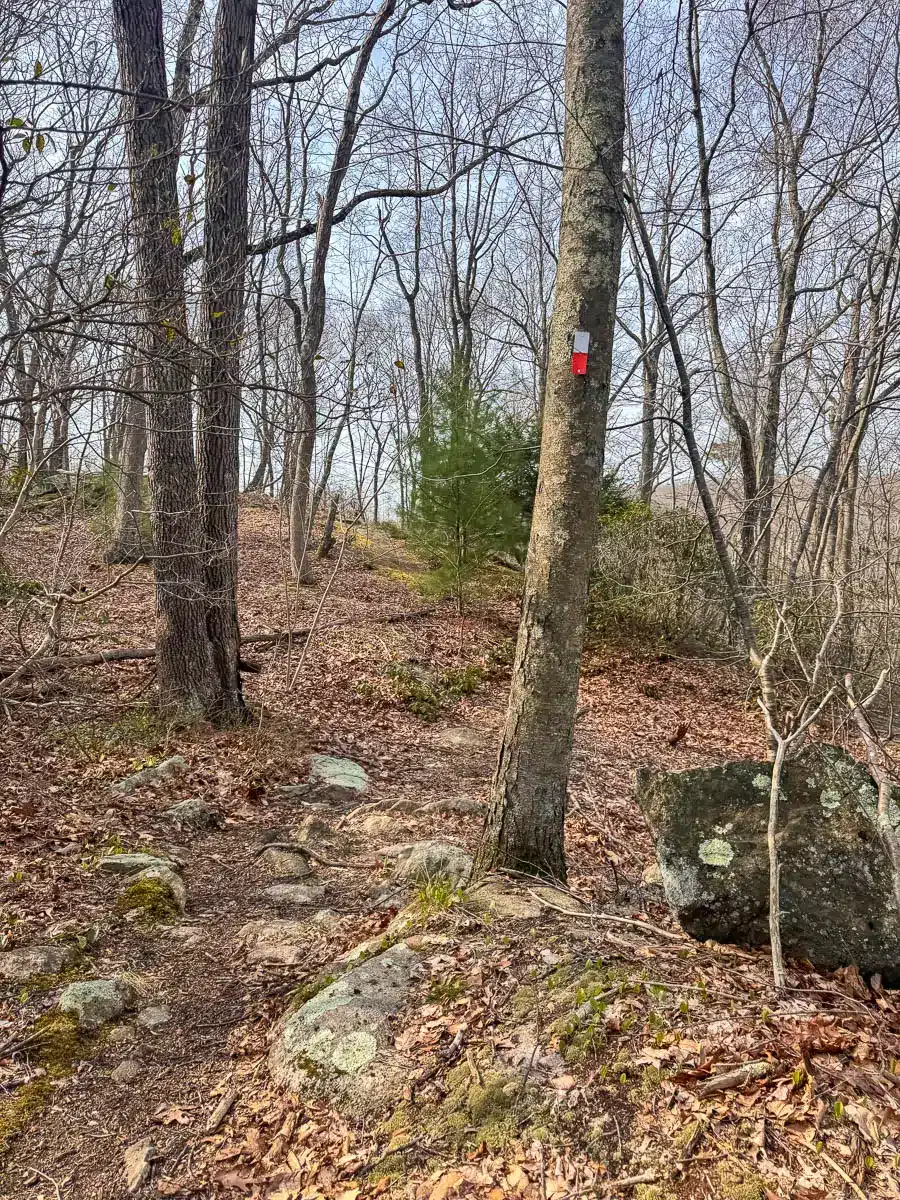 trail in westwoods in guilford.