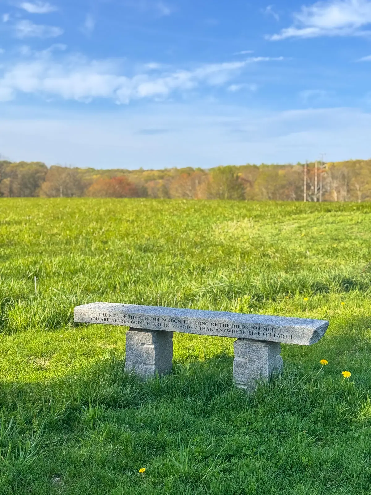 van vleck view and bench atop green hill at flanders nature center in connecticut with blue sky.